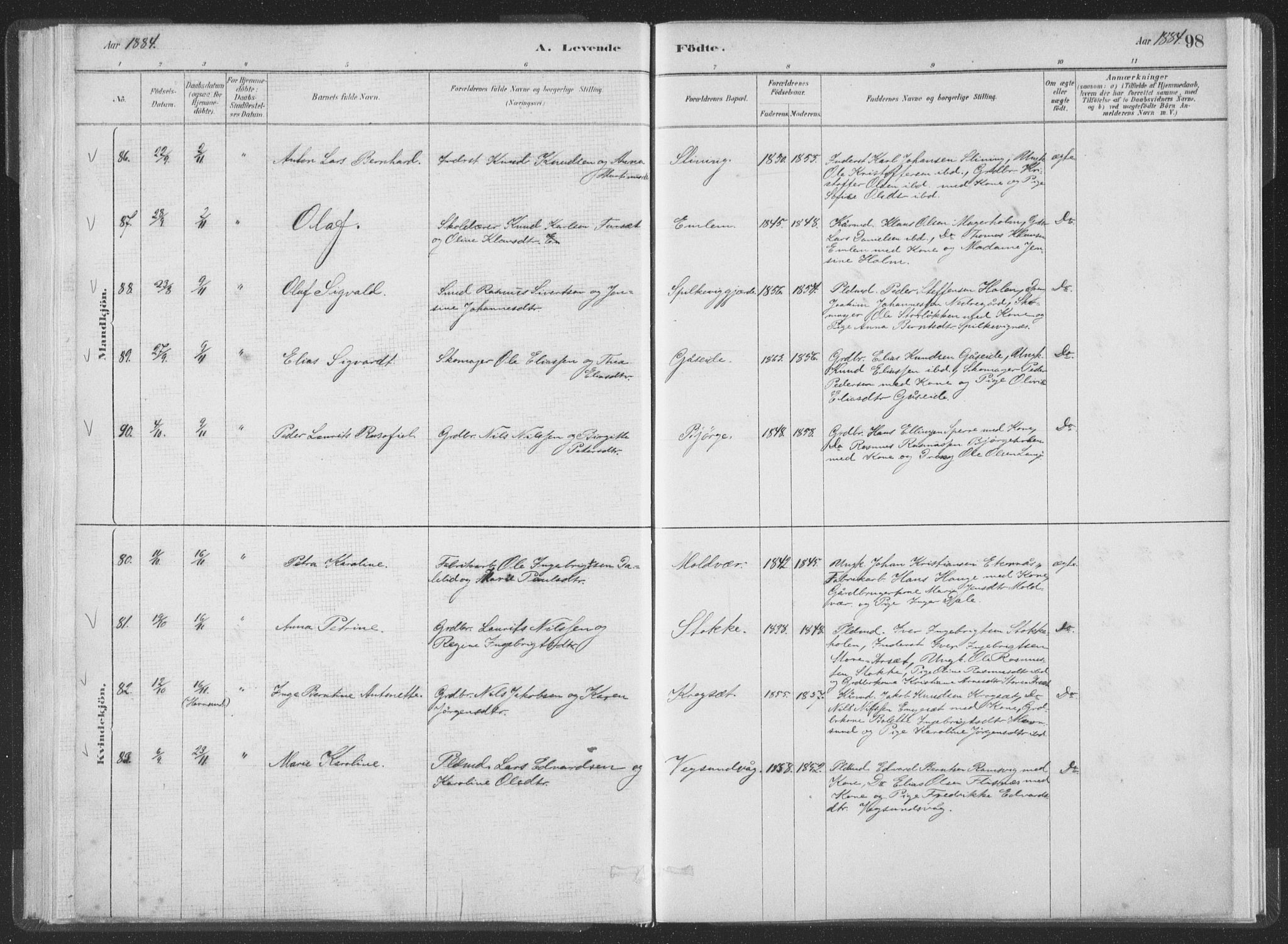 Ministerialprotokoller, klokkerbøker og fødselsregistre - Møre og Romsdal, AV/SAT-A-1454/528/L0401: Parish register (official) no. 528A12I, 1880-1920, p. 98