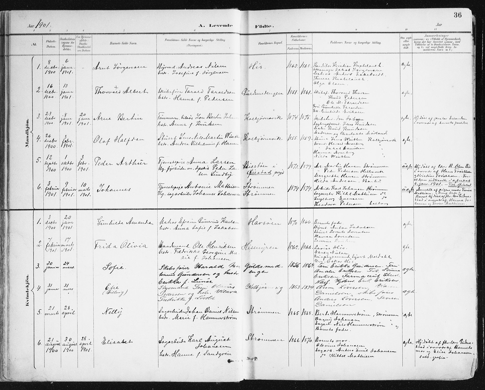 Hisøy sokneprestkontor, AV/SAK-1111-0020/F/Fa/L0004: Parish register (official) no. A 4, 1895-1917, p. 36