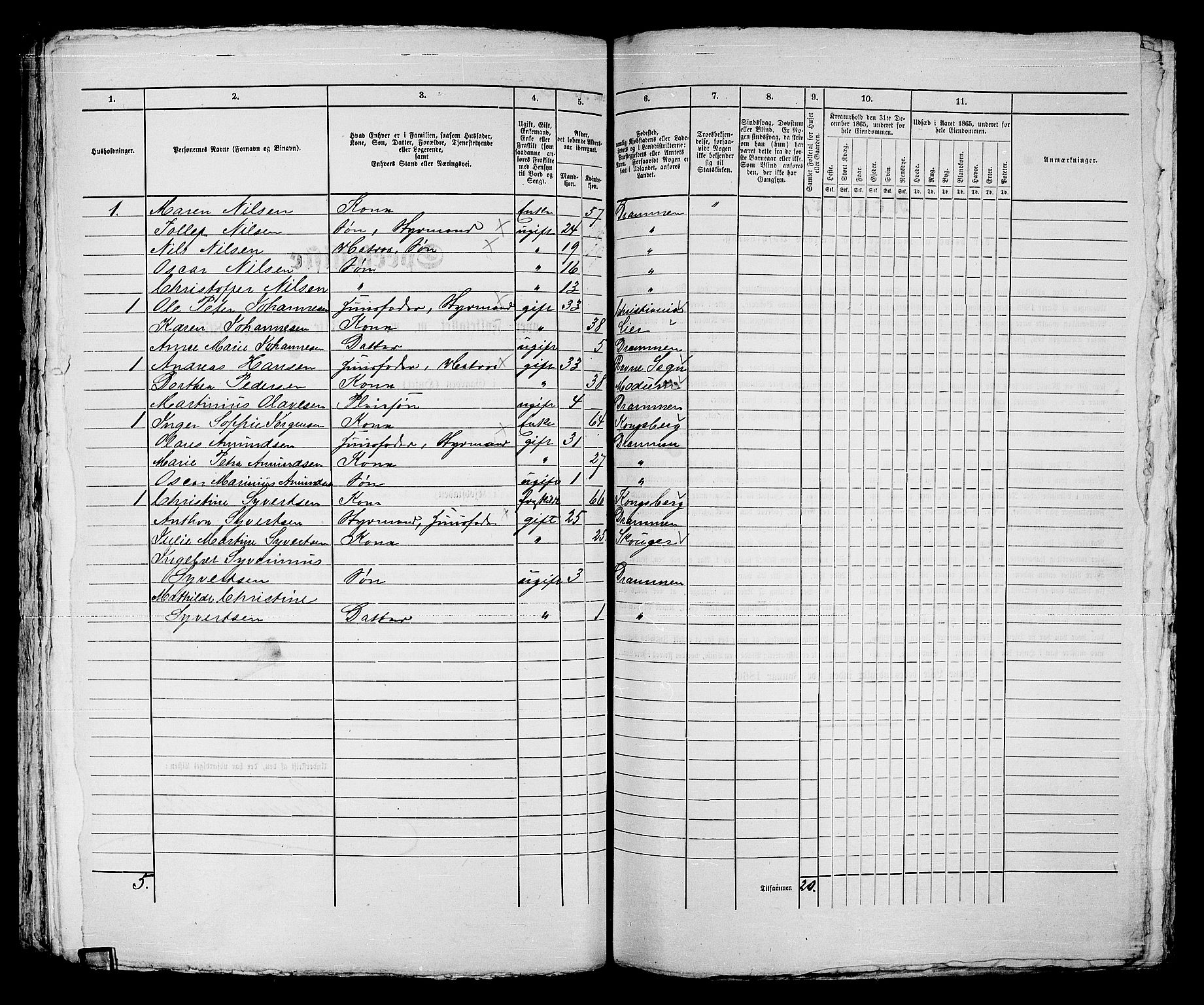 RA, 1865 census for Strømsø in Drammen, 1865, p. 314