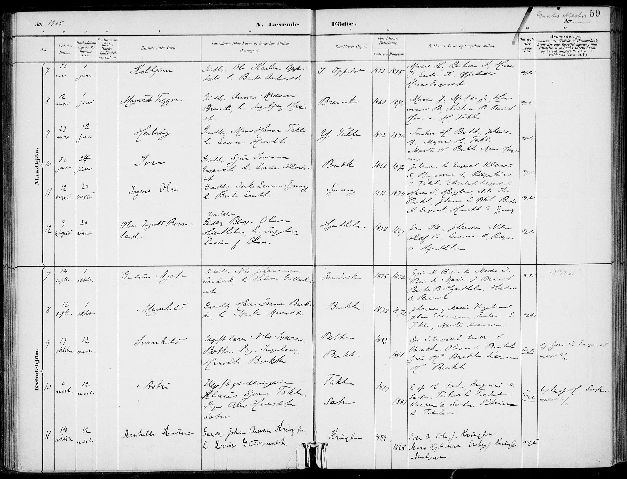 Gulen sokneprestembete, SAB/A-80201/H/Haa/Haac/L0002: Parish register (official) no. C  2, 1882-1914, p. 59
