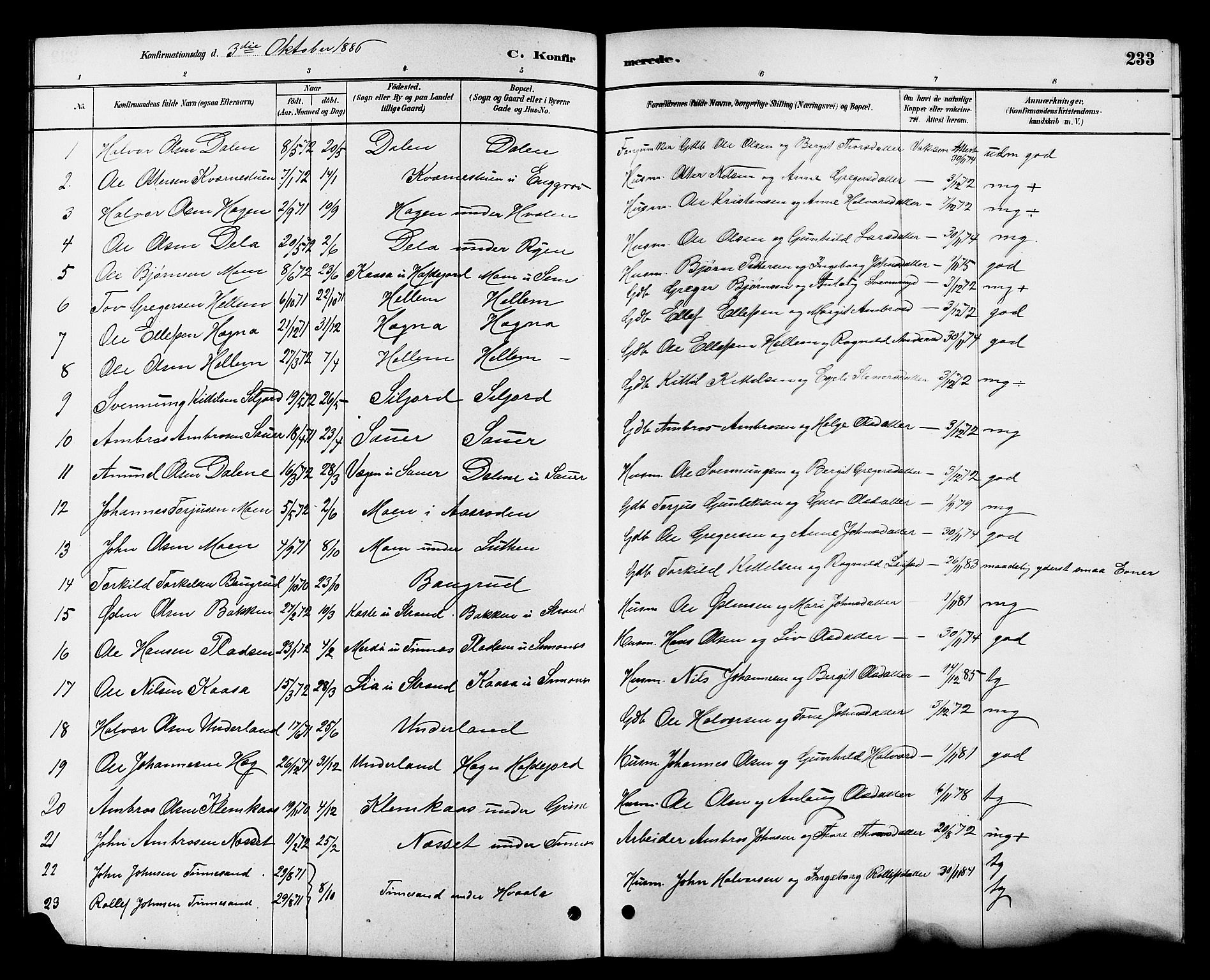 Heddal kirkebøker, SAKO/A-268/G/Ga/L0002: Parish register (copy) no. I 2, 1879-1908, p. 233
