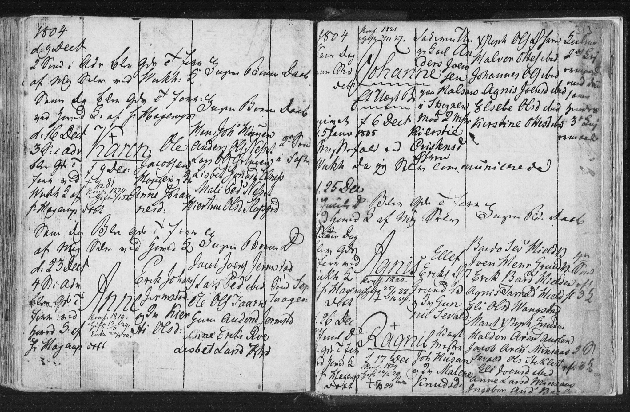 Ministerialprotokoller, klokkerbøker og fødselsregistre - Nord-Trøndelag, AV/SAT-A-1458/723/L0232: Parish register (official) no. 723A03, 1781-1804, p. 313