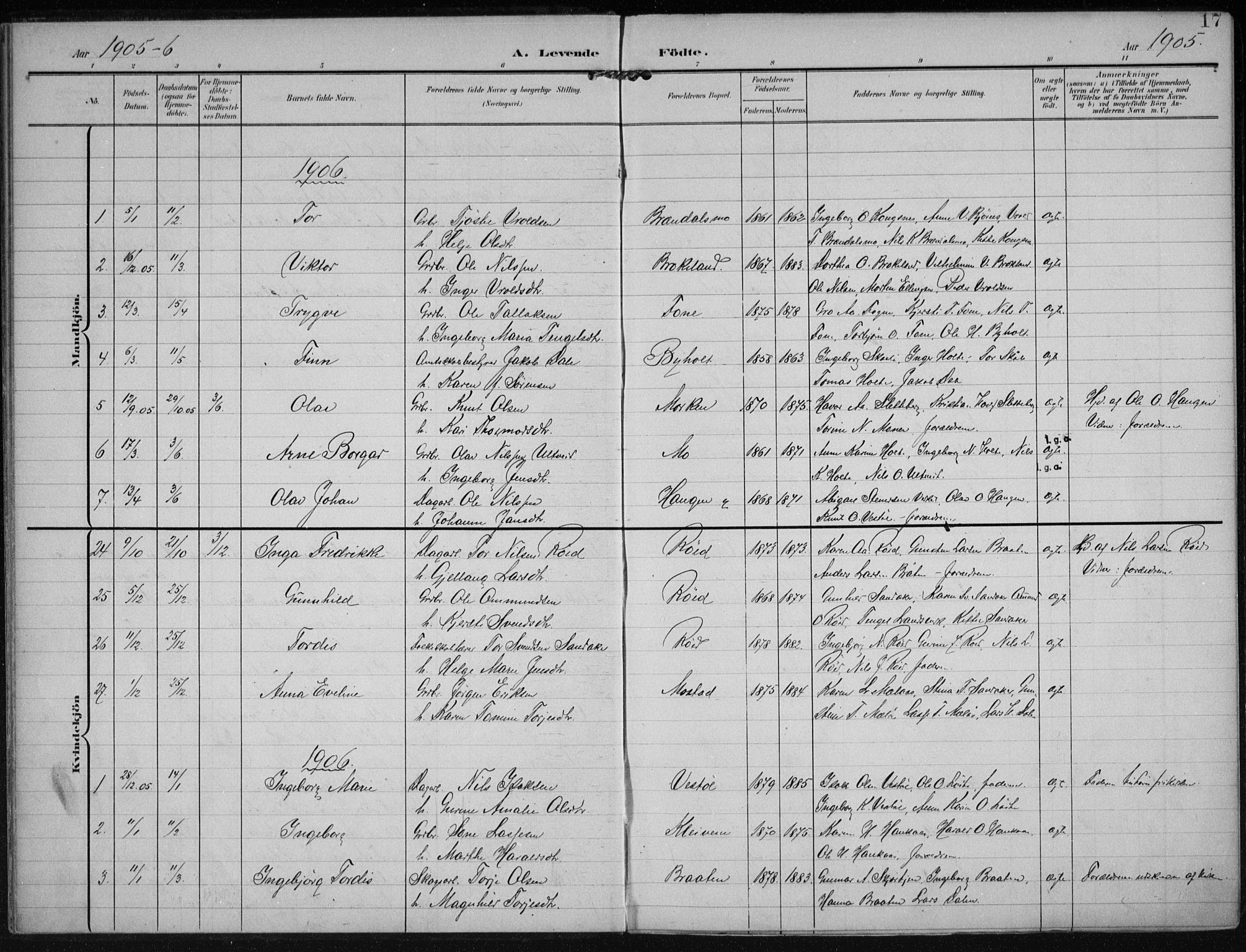 Gjerstad sokneprestkontor, AV/SAK-1111-0014/F/Fa/Faa/L0011: Parish register (official) no. A 11, 1903-1914, p. 17