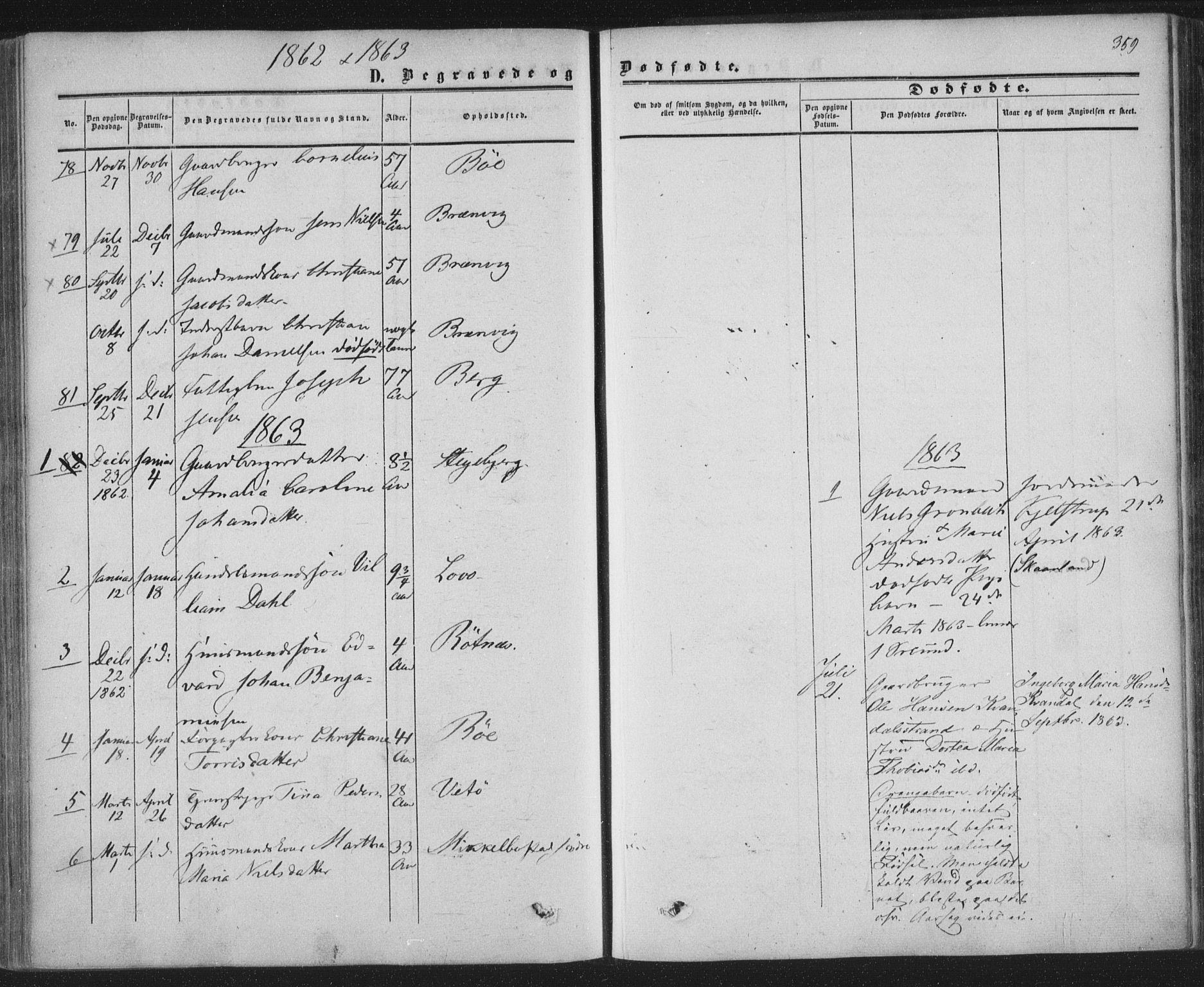 Ministerialprotokoller, klokkerbøker og fødselsregistre - Nordland, AV/SAT-A-1459/855/L0800: Parish register (official) no. 855A08, 1852-1864, p. 359