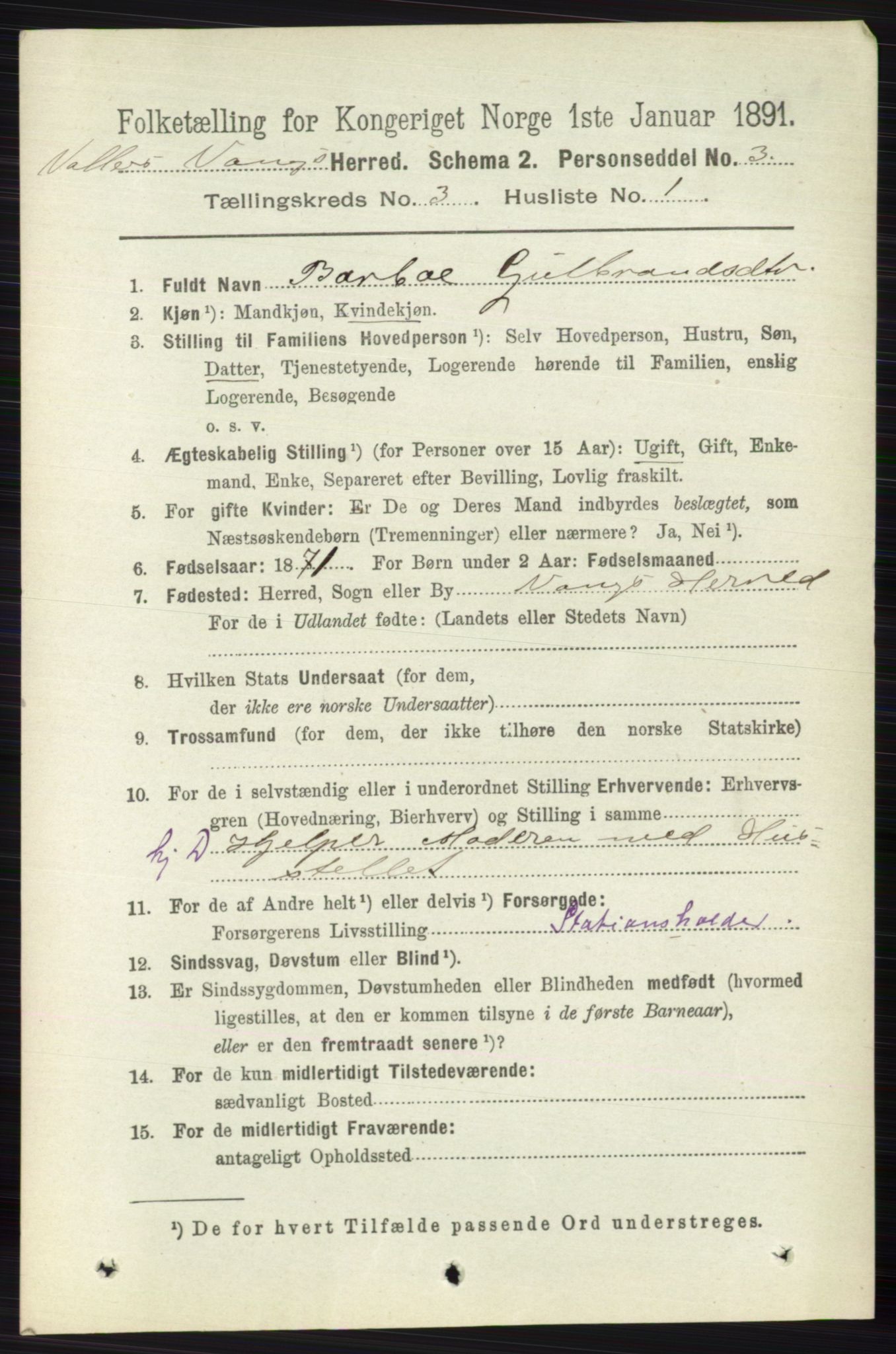 RA, 1891 census for 0545 Vang, 1891, p. 713