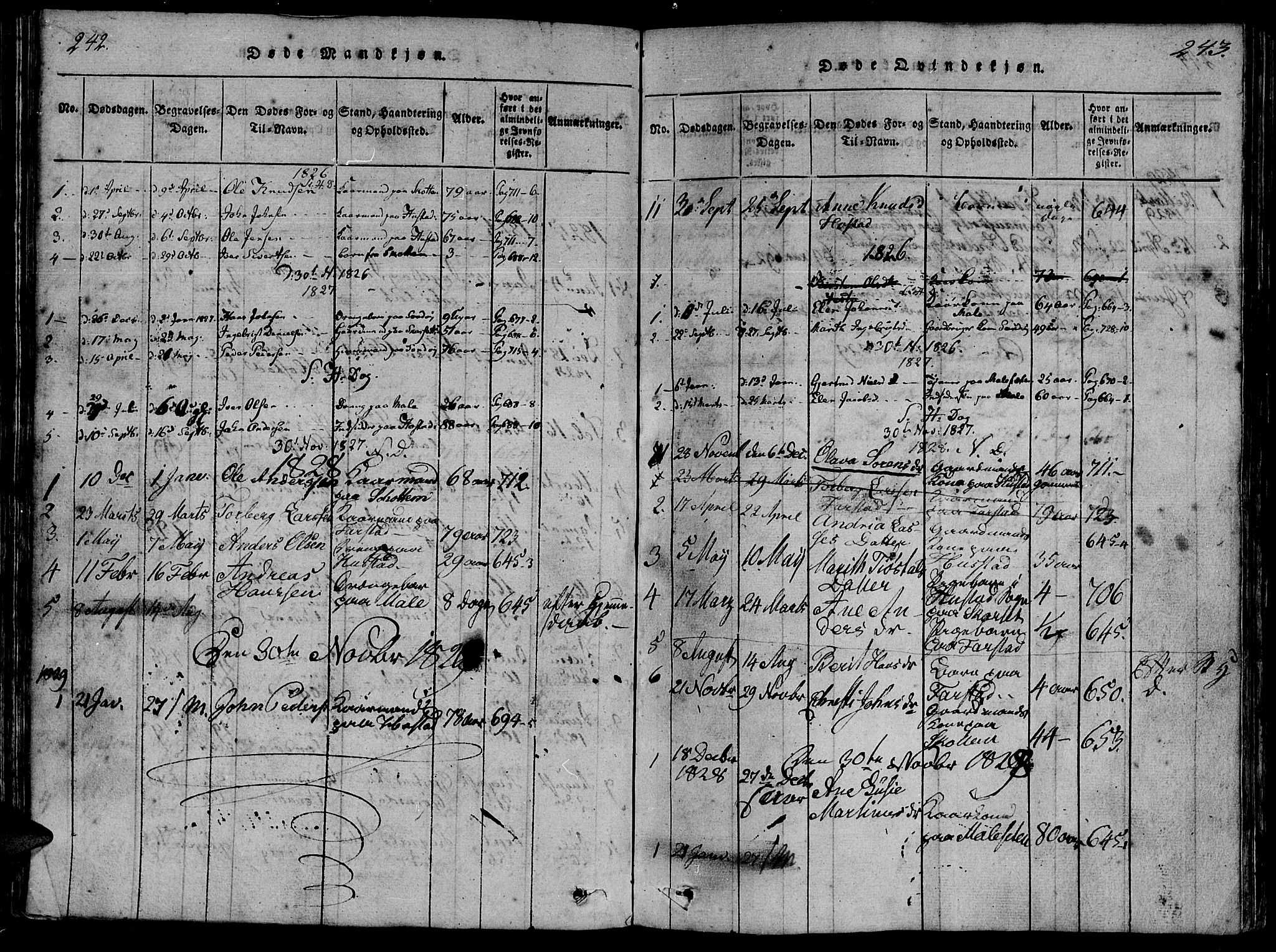 Ministerialprotokoller, klokkerbøker og fødselsregistre - Møre og Romsdal, AV/SAT-A-1454/566/L0764: Parish register (official) no. 566A03 /2, 1817-1829, p. 242-243