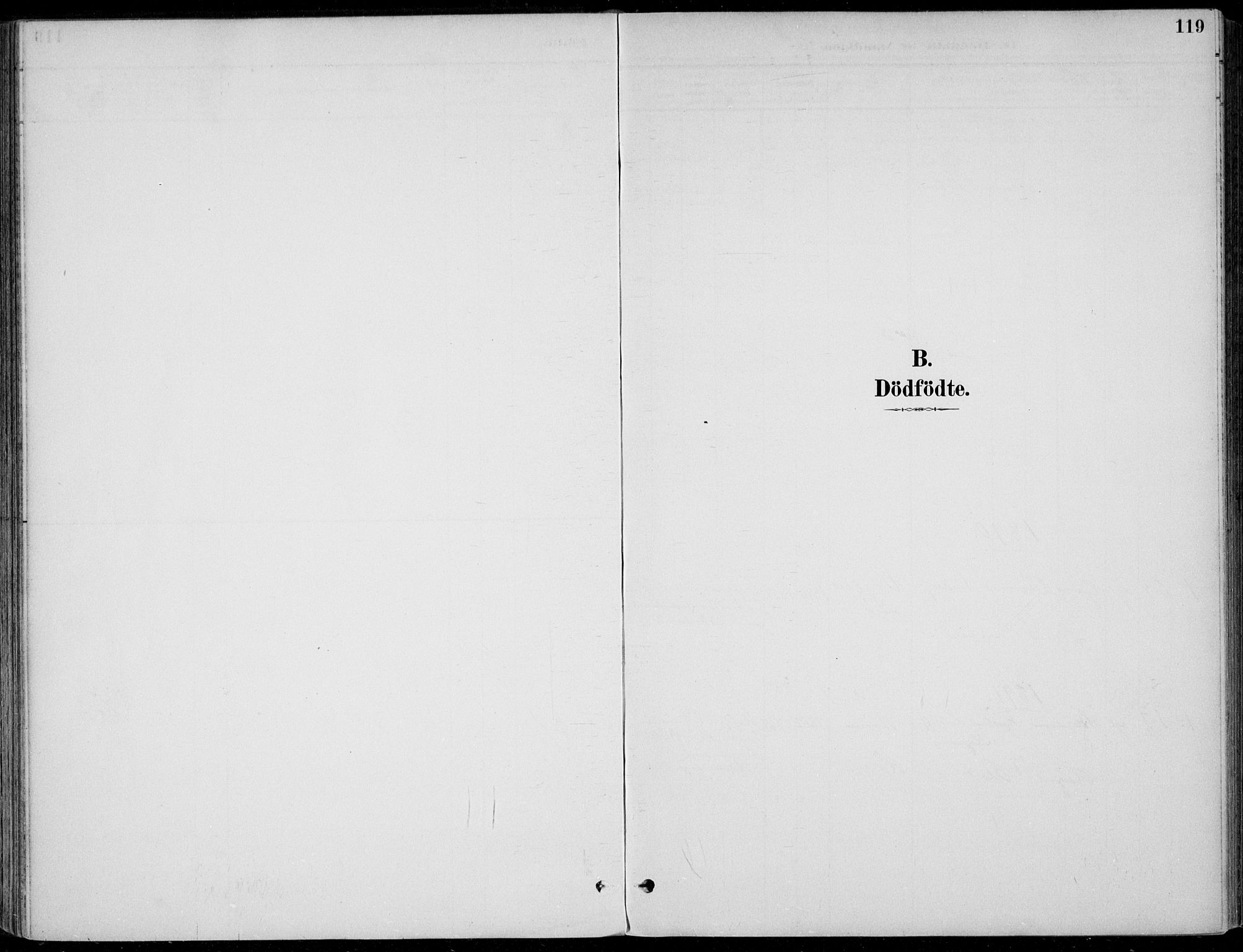 Sigdal kirkebøker, SAKO/A-245/F/Fb/L0001: Parish register (official) no. II 1, 1888-1900, p. 119