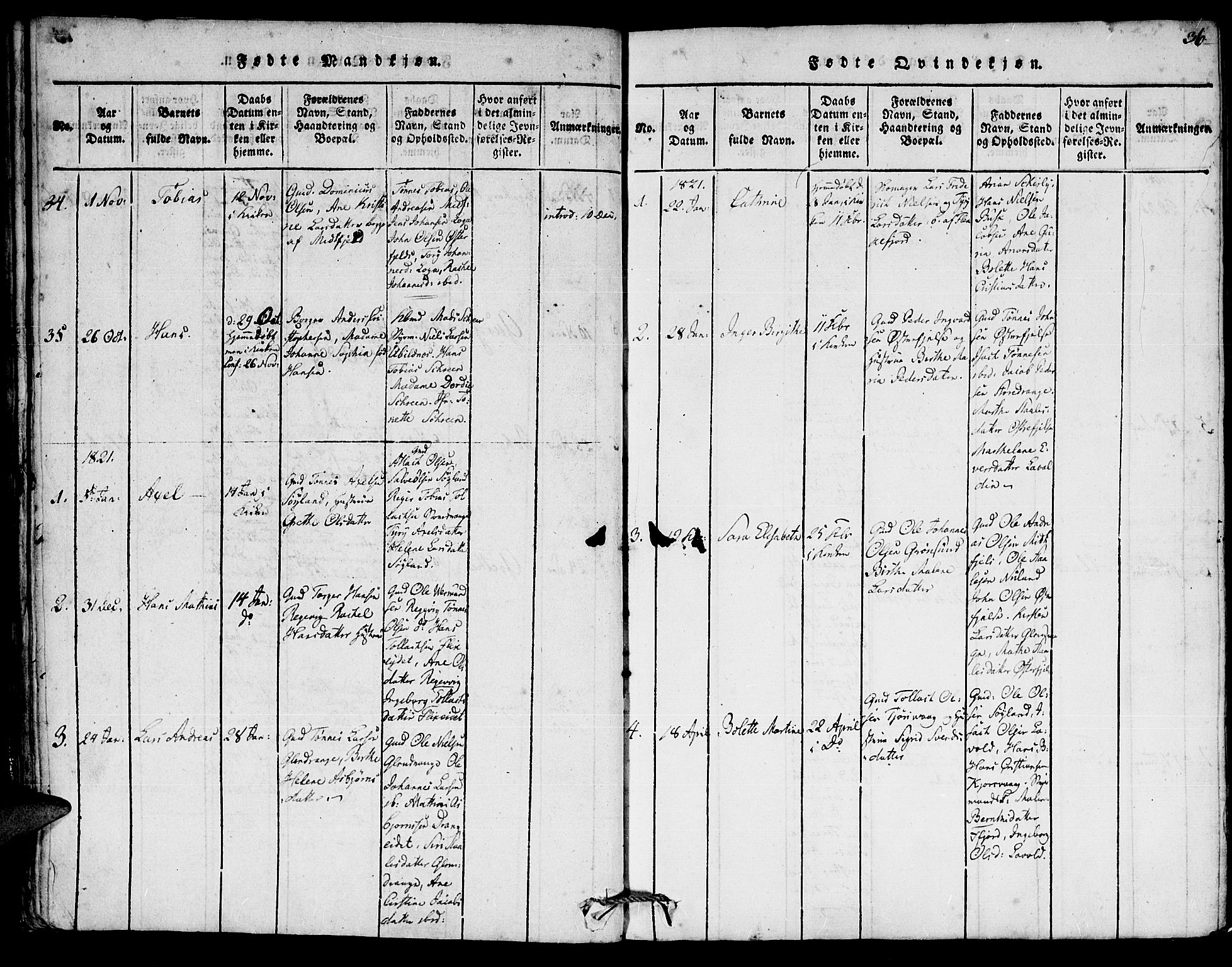 Flekkefjord sokneprestkontor, SAK/1111-0012/F/Fa/Fac/L0002: Parish register (official) no. A 2, 1815-1826, p. 36