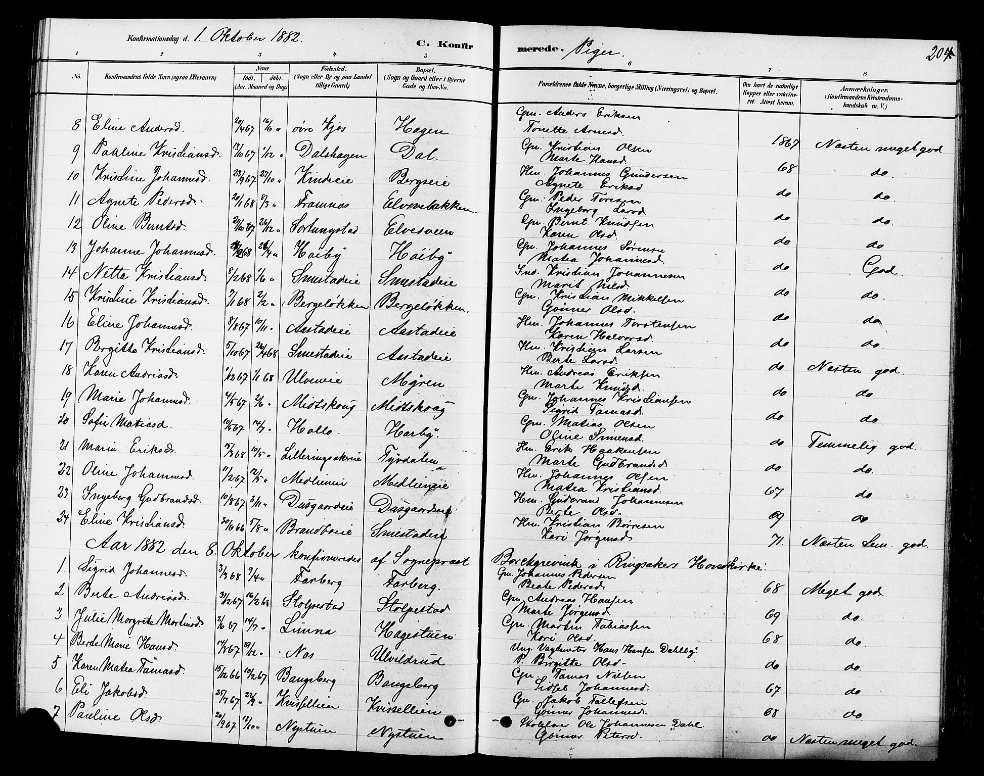 Ringsaker prestekontor, AV/SAH-PREST-014/L/La/L0009: Parish register (copy) no. 9, 1879-1890, p. 204
