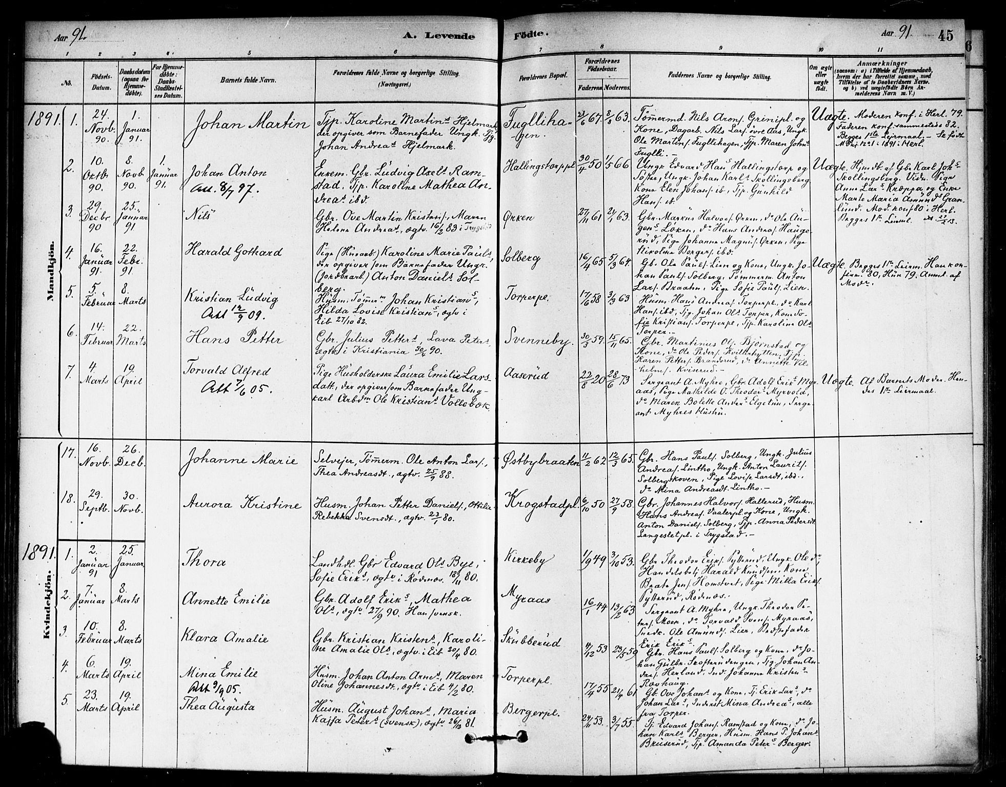 Eidsberg prestekontor Kirkebøker, AV/SAO-A-10905/F/Fb/L0001: Parish register (official) no. II 1, 1879-1900, p. 45