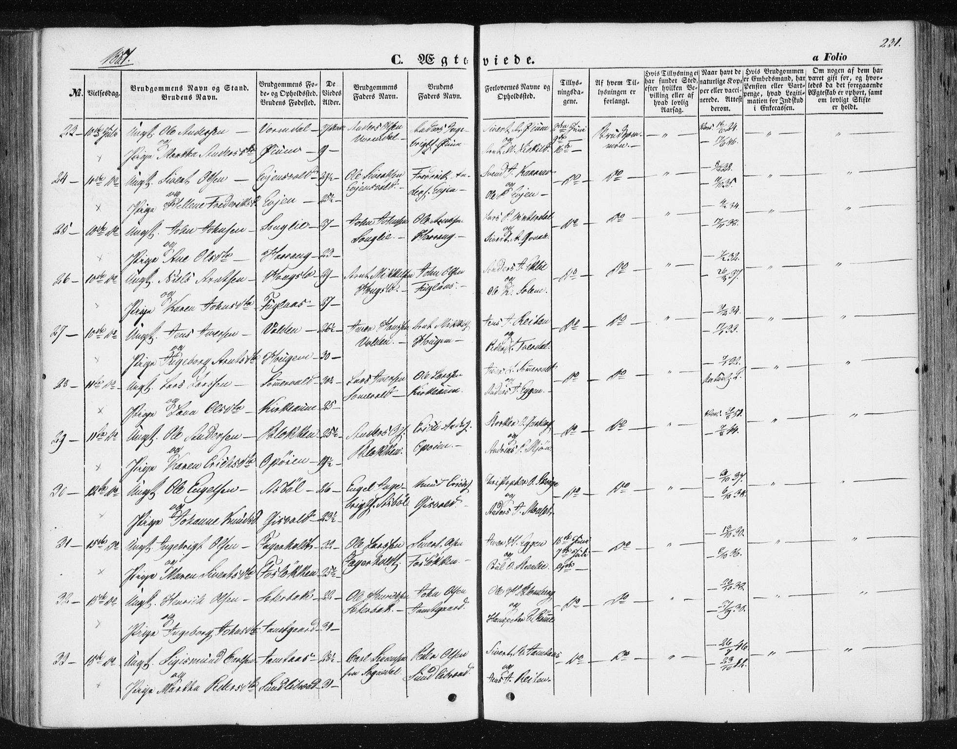 Ministerialprotokoller, klokkerbøker og fødselsregistre - Sør-Trøndelag, SAT/A-1456/668/L0806: Parish register (official) no. 668A06, 1854-1869, p. 231