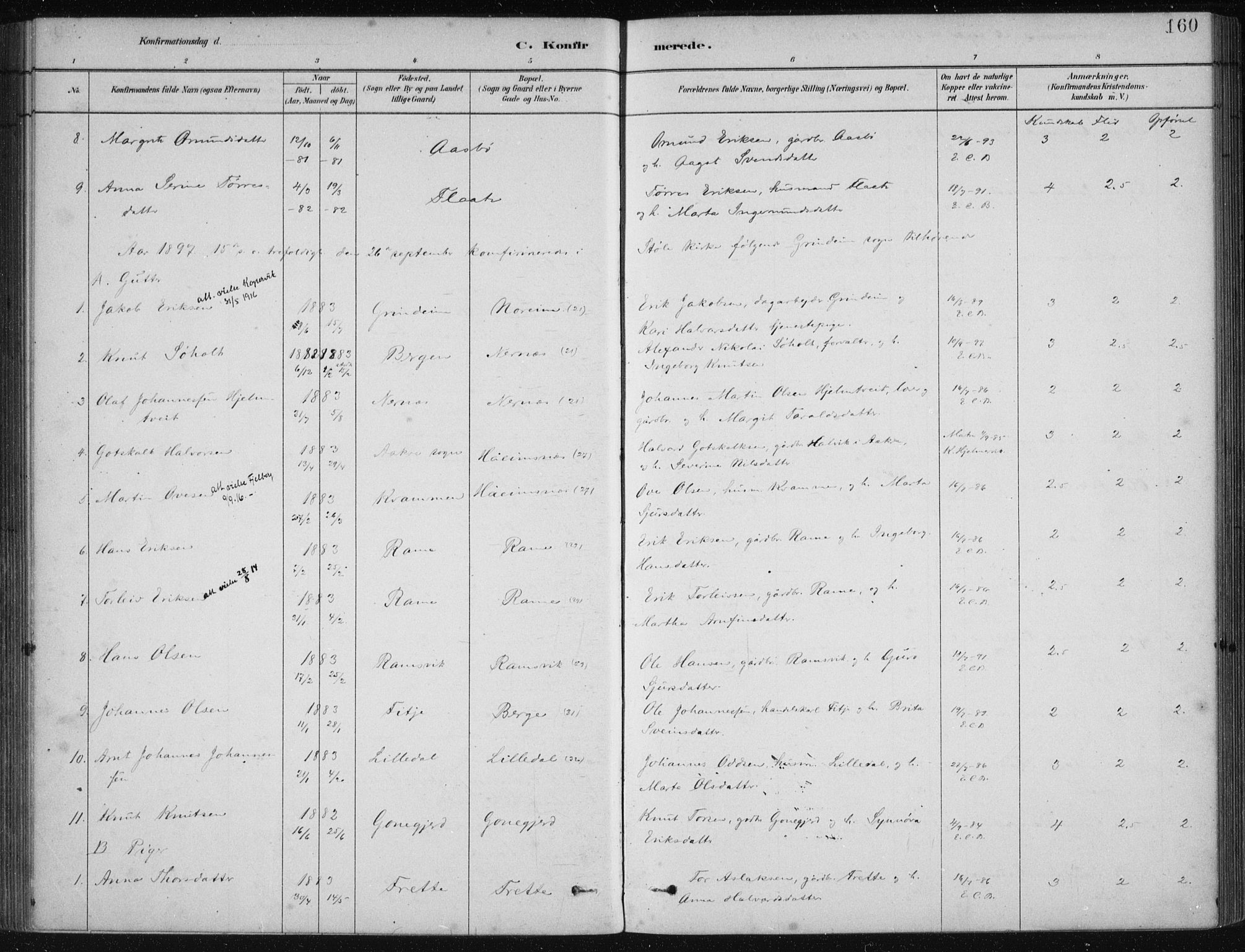 Etne sokneprestembete, SAB/A-75001/H/Haa: Parish register (official) no. D  1, 1879-1919, p. 160