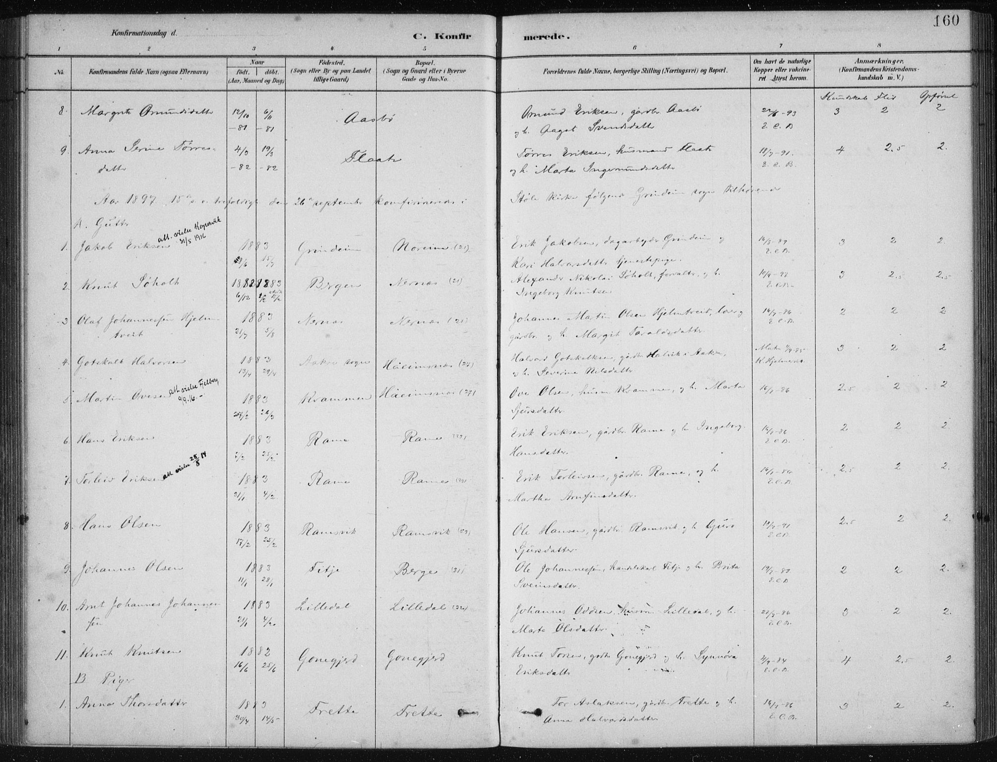 Etne sokneprestembete, AV/SAB-A-75001/H/Haa: Parish register (official) no. D  1, 1879-1919, p. 160