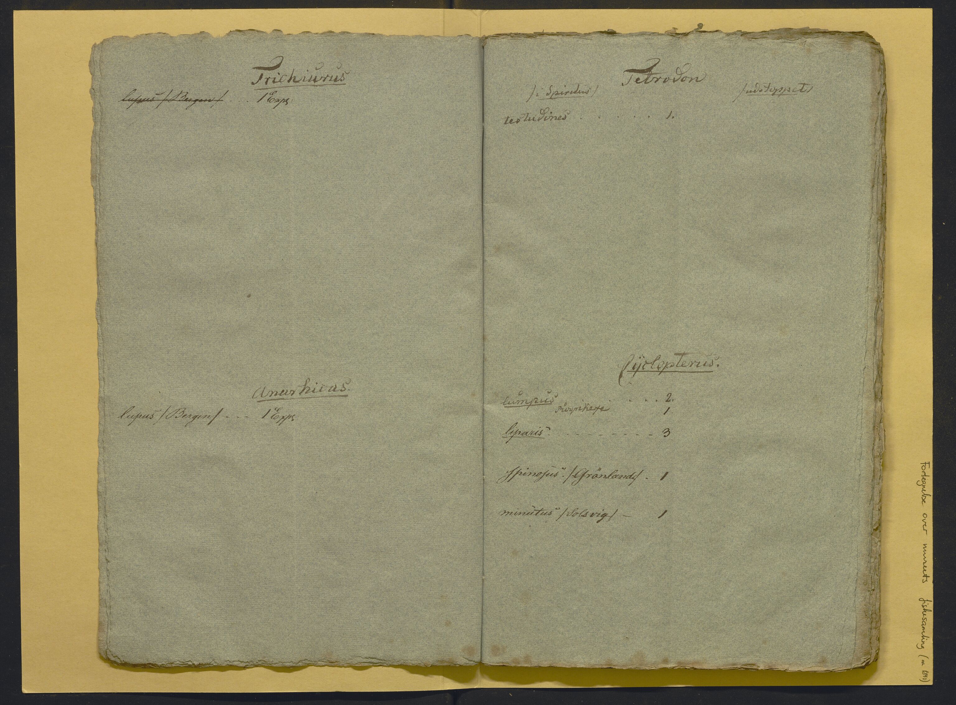 Bergens Museum, AV/SAB-A-17301/02/F/L0001: Kataloger over gjenstander og pergamentbrev , 1825-1880, p. 495