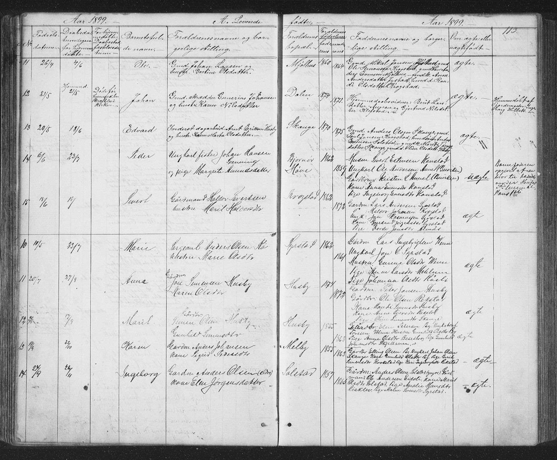Ministerialprotokoller, klokkerbøker og fødselsregistre - Sør-Trøndelag, SAT/A-1456/667/L0798: Parish register (copy) no. 667C03, 1867-1929, p. 113