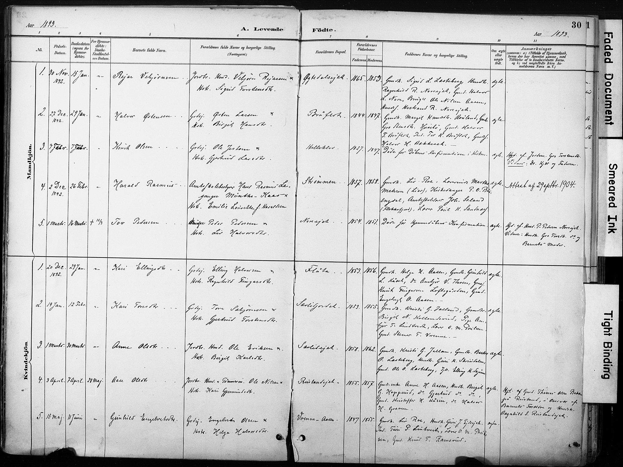 Nore kirkebøker, SAKO/A-238/F/Fb/L0002: Parish register (official) no. II 2, 1886-1906, p. 30
