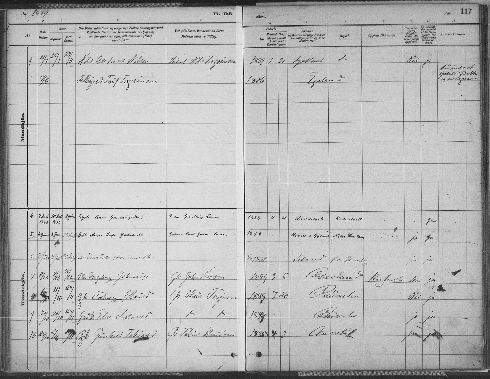 Fjotland sokneprestkontor, AV/SAK-1111-0010/F/Fa/L0002: Parish register (official) no. A 2, 1880-1898, p. 117