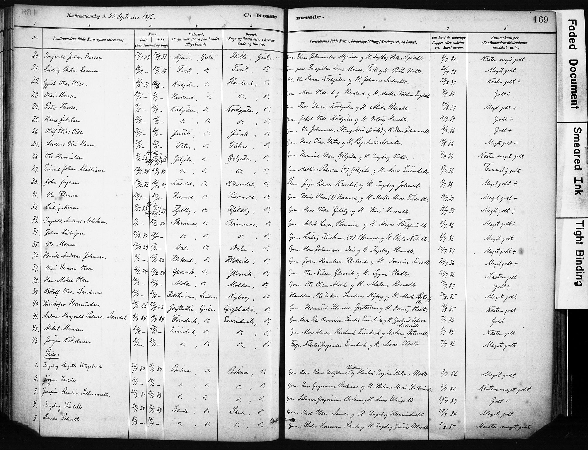 Gulen sokneprestembete, AV/SAB-A-80201/H/Haa/Haab/L0001: Parish register (official) no. B 1, 1881-1905, p. 169