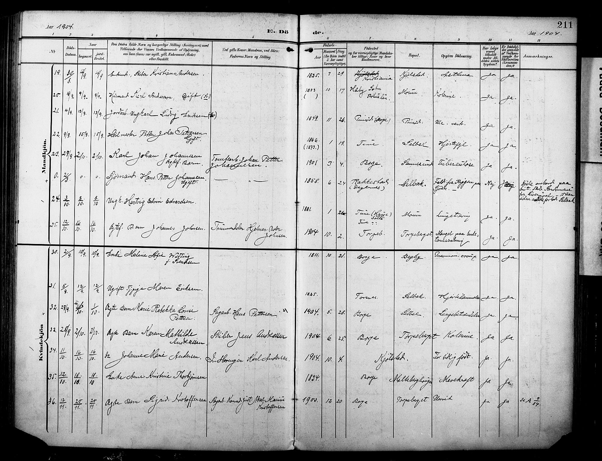 Borge prestekontor Kirkebøker, SAO/A-10903/F/Fa/L0009: Parish register (official) no. I 9, 1902-1911, p. 211