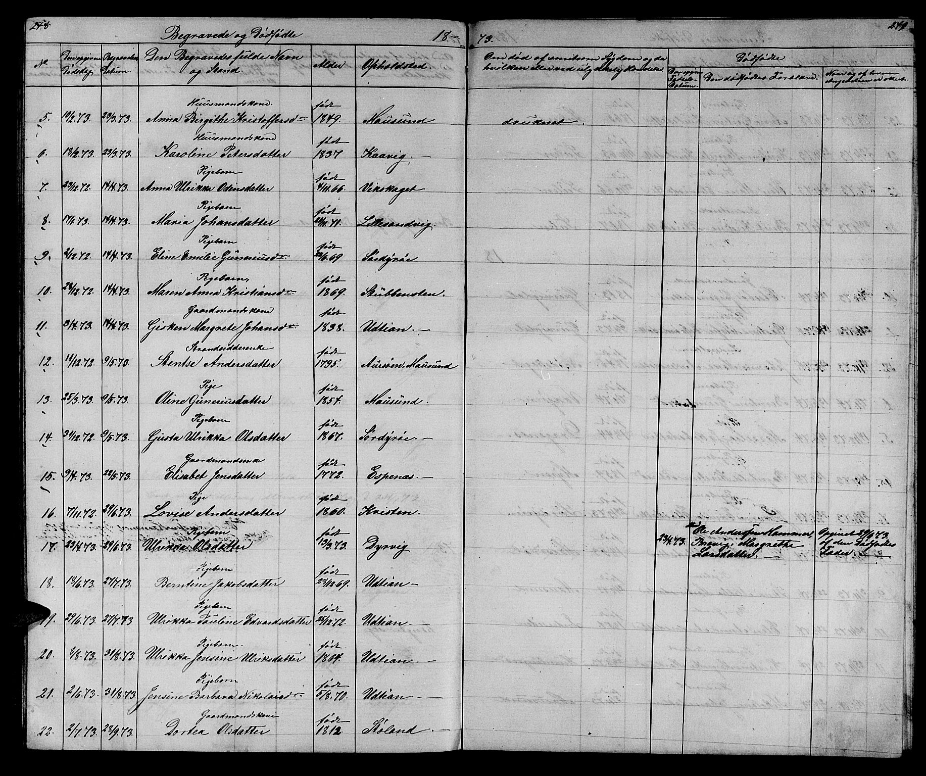 Ministerialprotokoller, klokkerbøker og fødselsregistre - Sør-Trøndelag, SAT/A-1456/640/L0583: Parish register (copy) no. 640C01, 1866-1877, p. 248-249