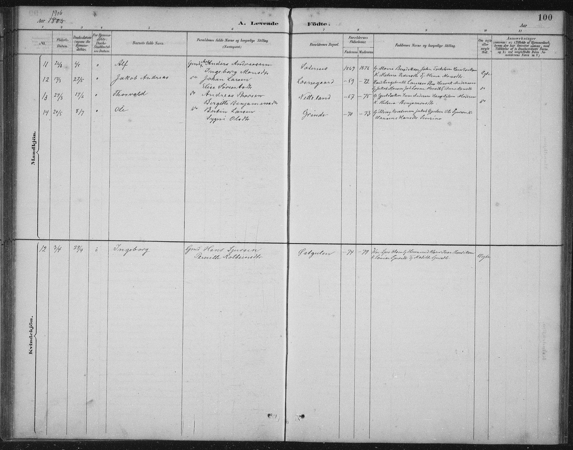 Gulen sokneprestembete, AV/SAB-A-80201/H/Hab/Habb/L0003: Parish register (copy) no. B 3, 1884-1907, p. 100