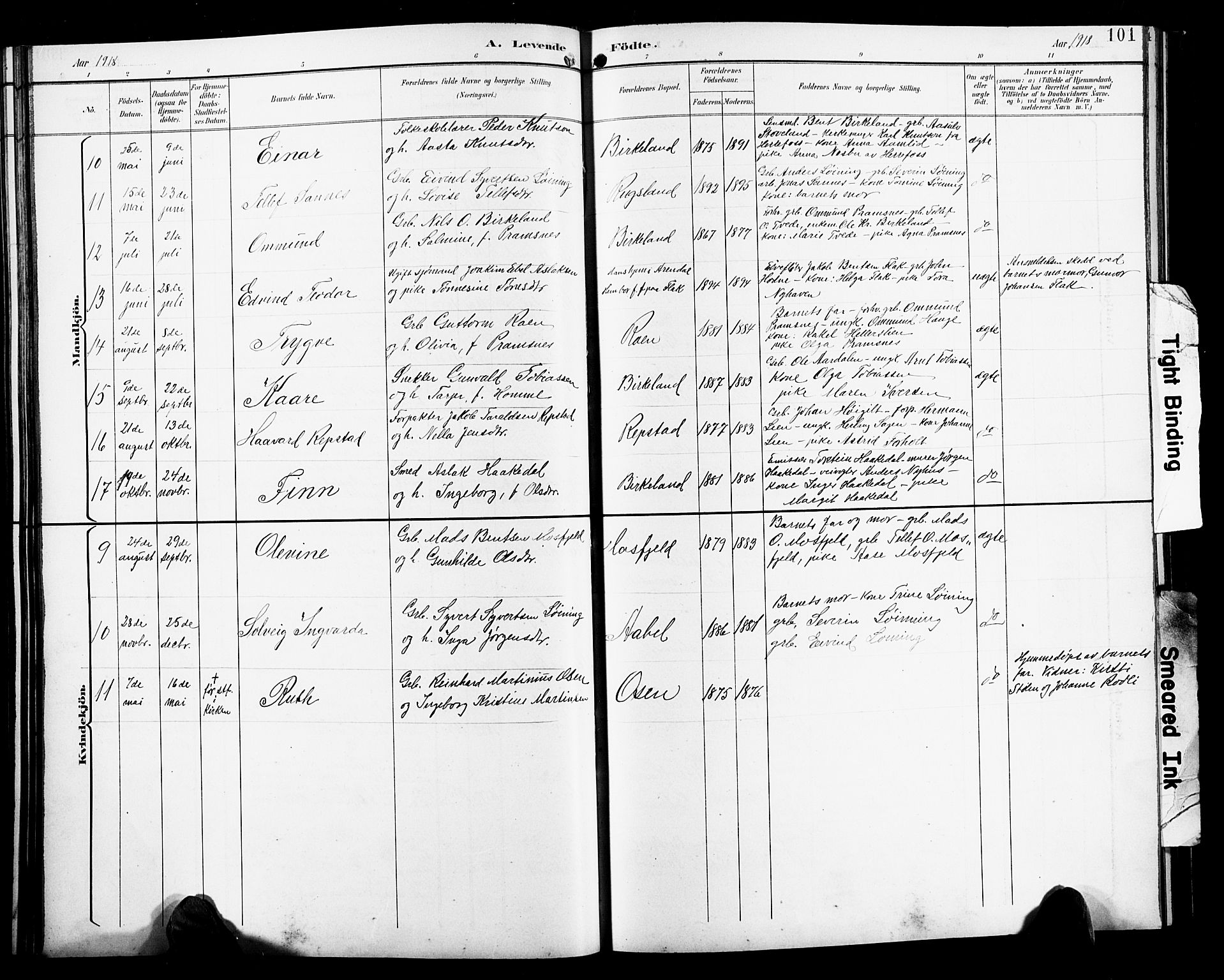 Birkenes sokneprestkontor, SAK/1111-0004/F/Fb/L0004: Parish register (copy) no. B 4, 1893-1930, p. 101