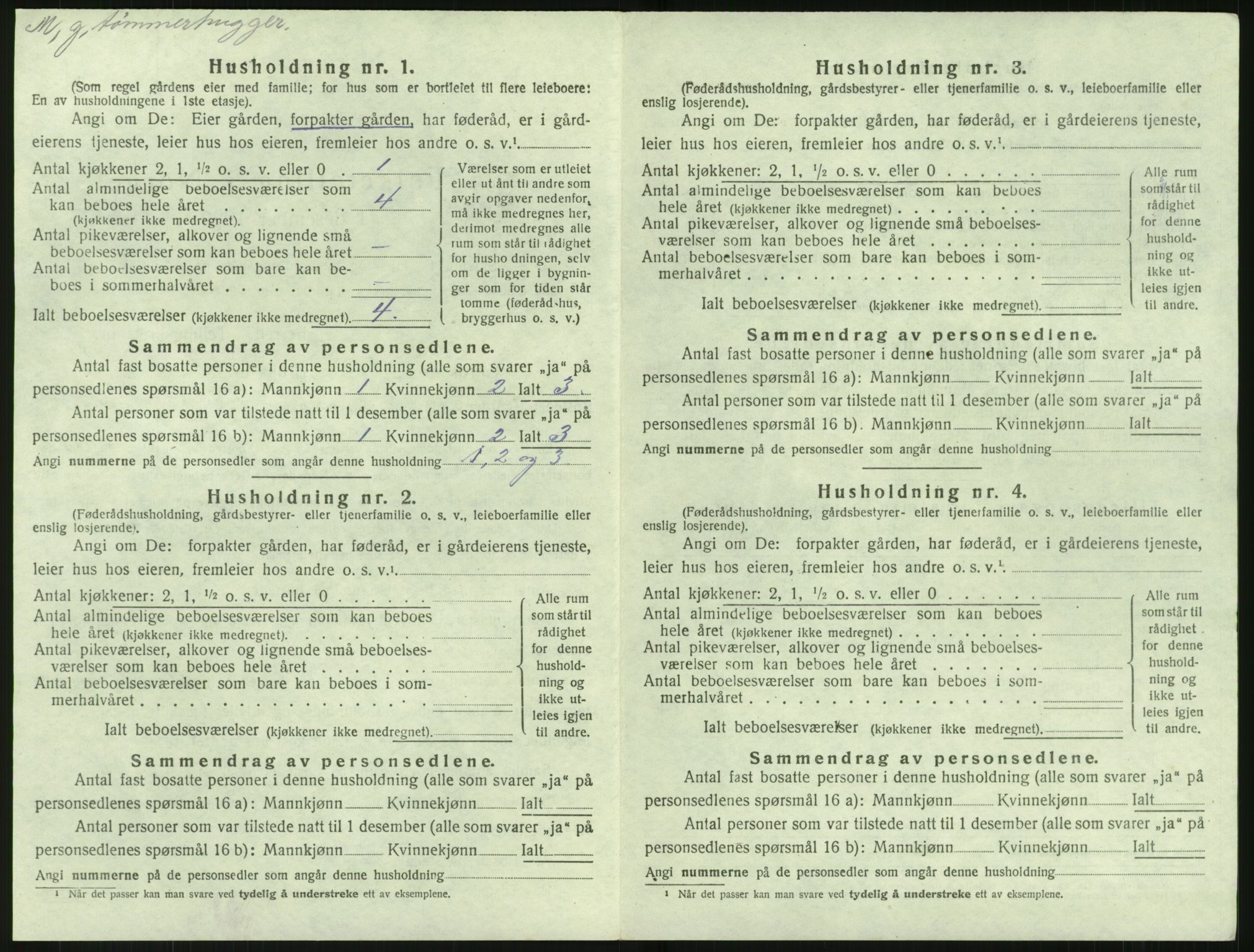 SAK, 1920 census for Holt, 1920, p. 589