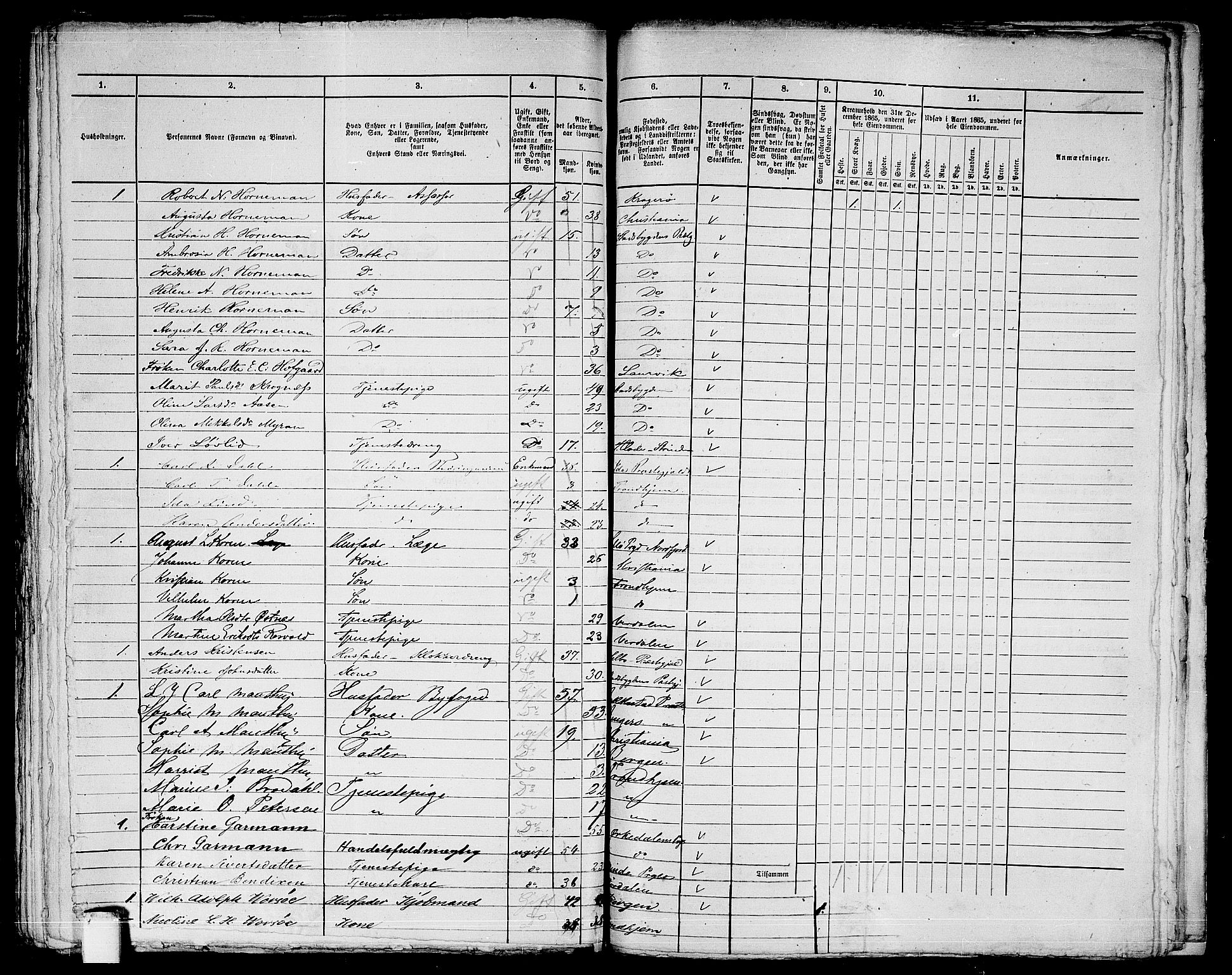 RA, 1865 census for Trondheim, 1865, p. 1021