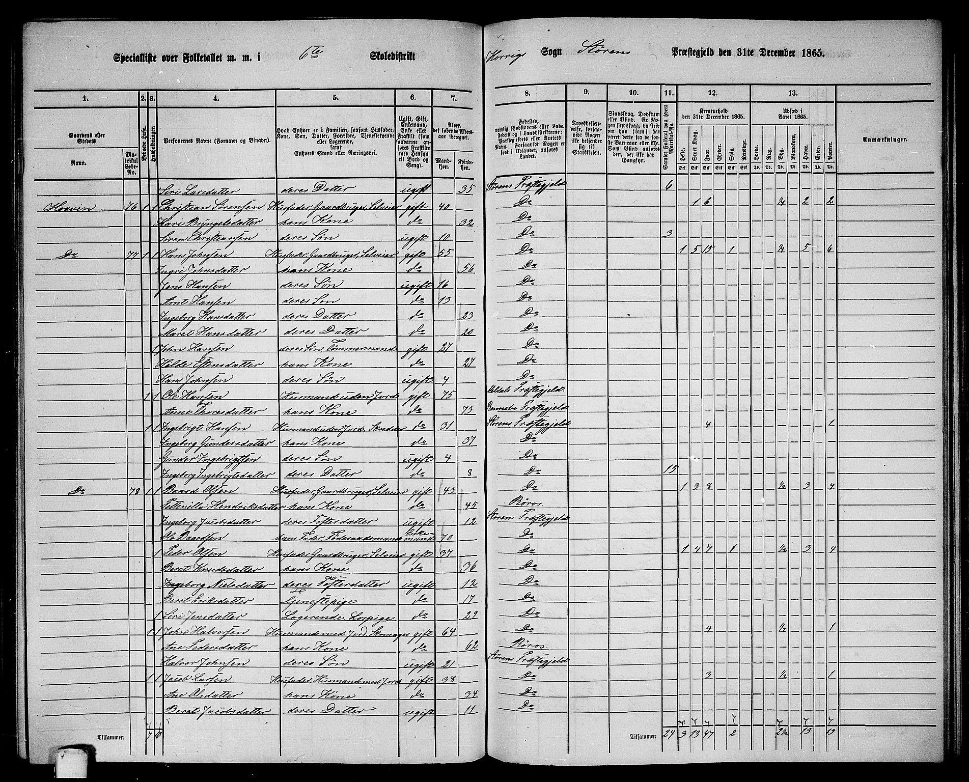 RA, 1865 census for Støren, 1865, p. 204