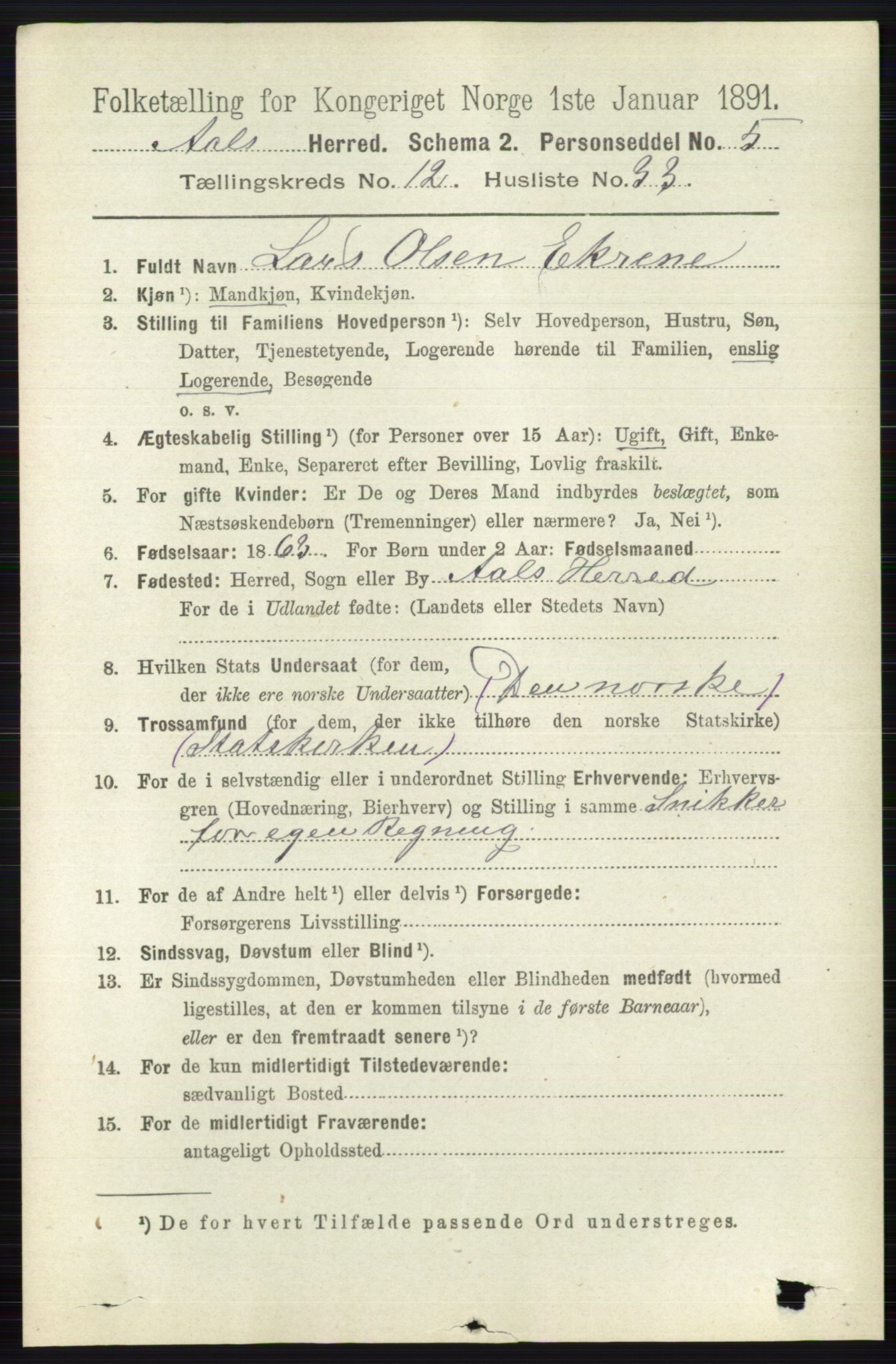 RA, 1891 census for 0619 Ål, 1891, p. 3201