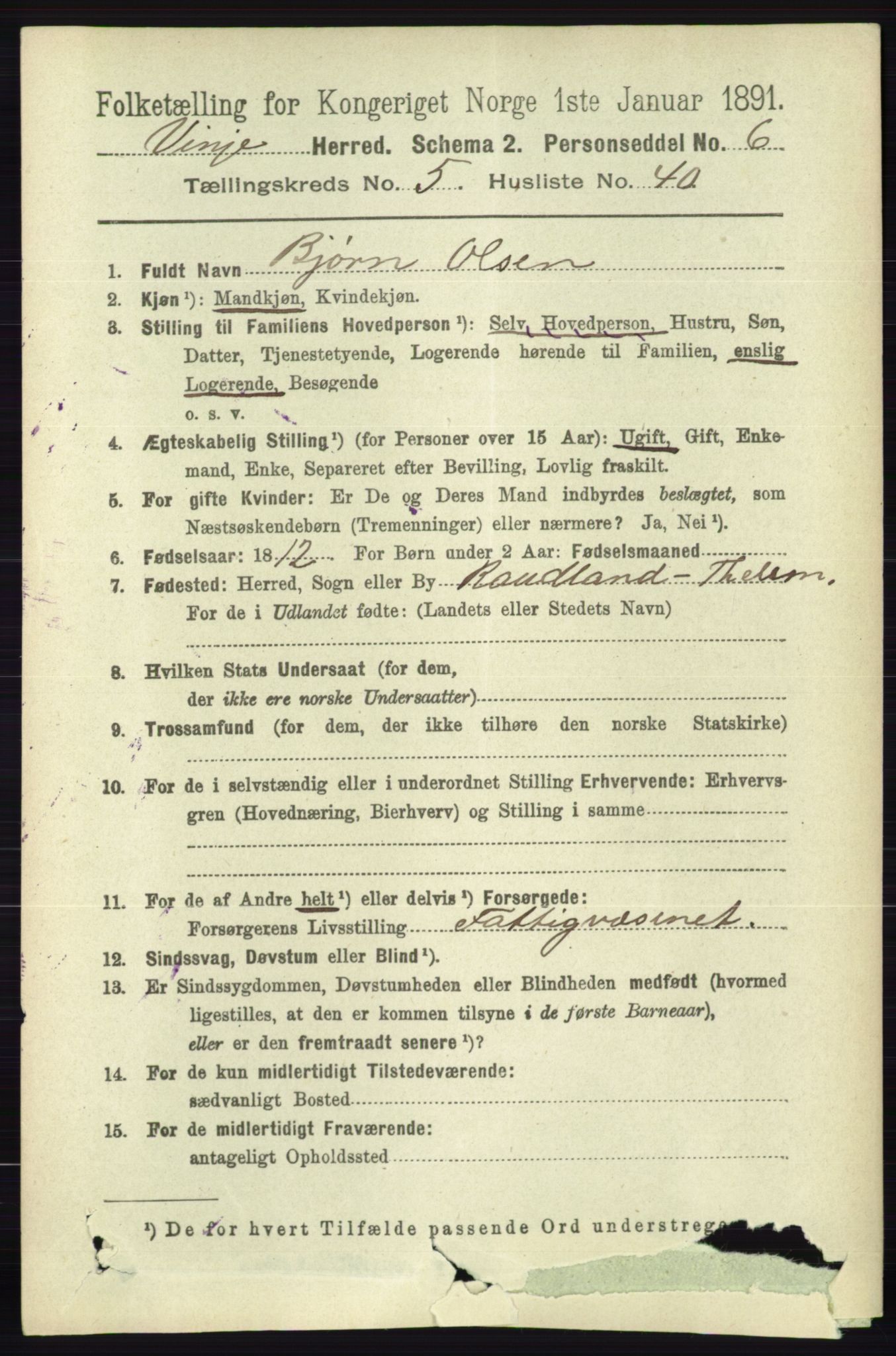 RA, 1891 census for 0834 Vinje, 1891, p. 1354