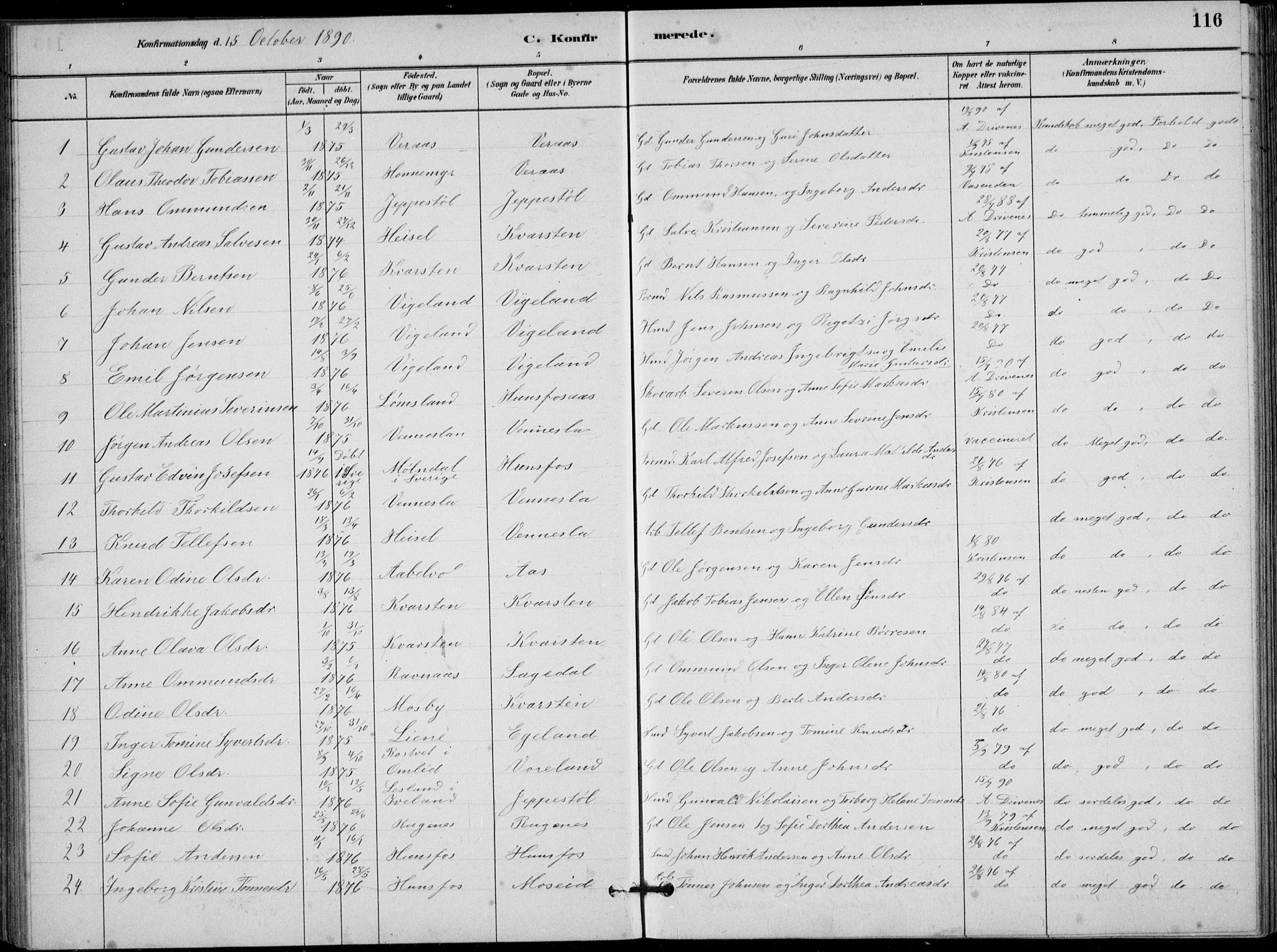 Vennesla sokneprestkontor, SAK/1111-0045/Fb/Fbb/L0003: Parish register (copy) no. B 3, 1879-1893, p. 116
