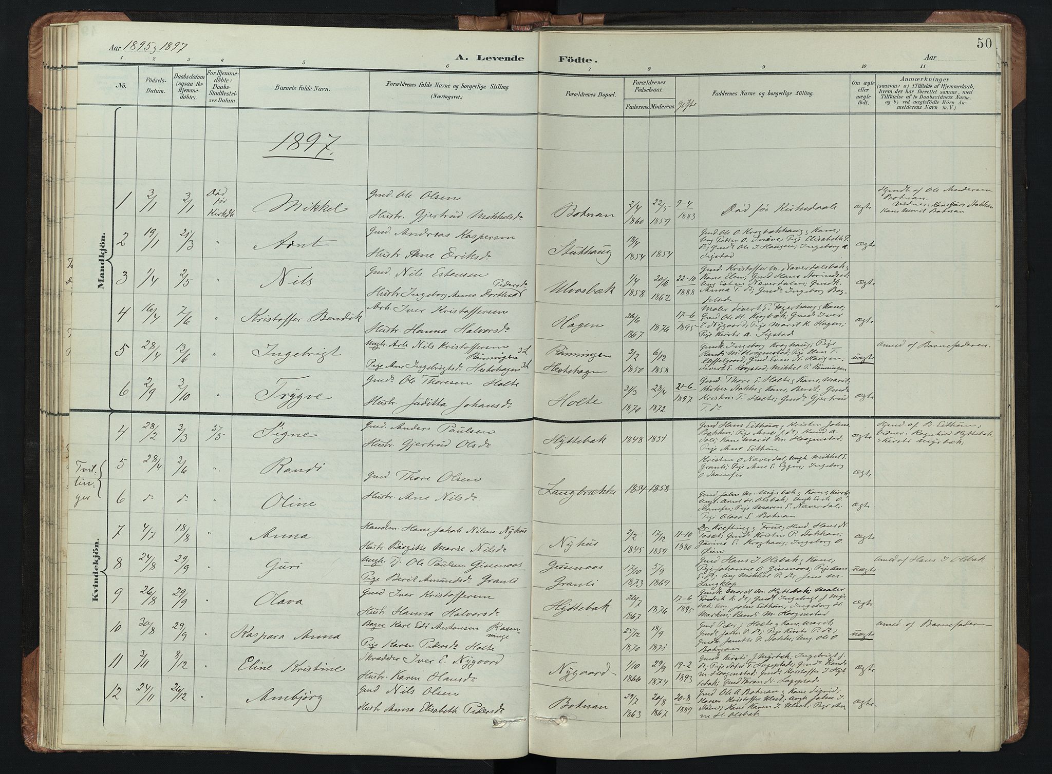 Kvikne prestekontor, AV/SAH-PREST-064/H/Ha/Hab/L0002: Parish register (copy) no. 2, 1859-1901, p. 50