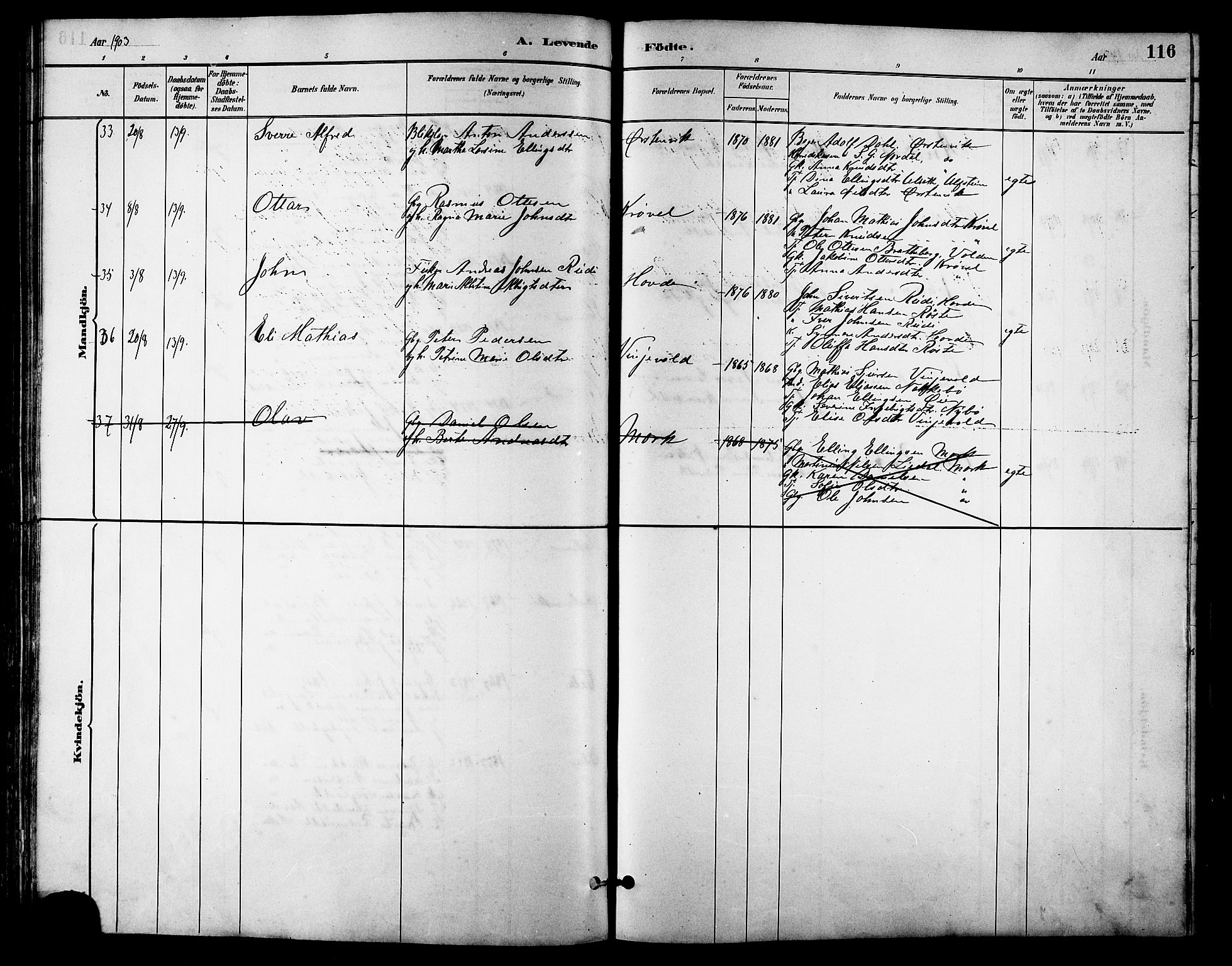 Ministerialprotokoller, klokkerbøker og fødselsregistre - Møre og Romsdal, AV/SAT-A-1454/513/L0189: Parish register (copy) no. 513C03, 1883-1904, p. 116