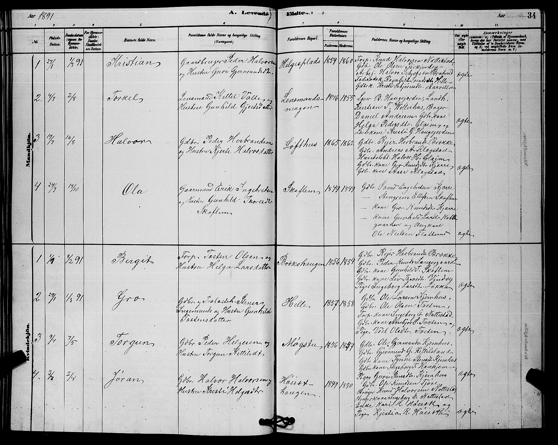 Rollag kirkebøker, SAKO/A-240/G/Gb/L0002: Parish register (copy) no. II 2, 1878-1898, p. 34