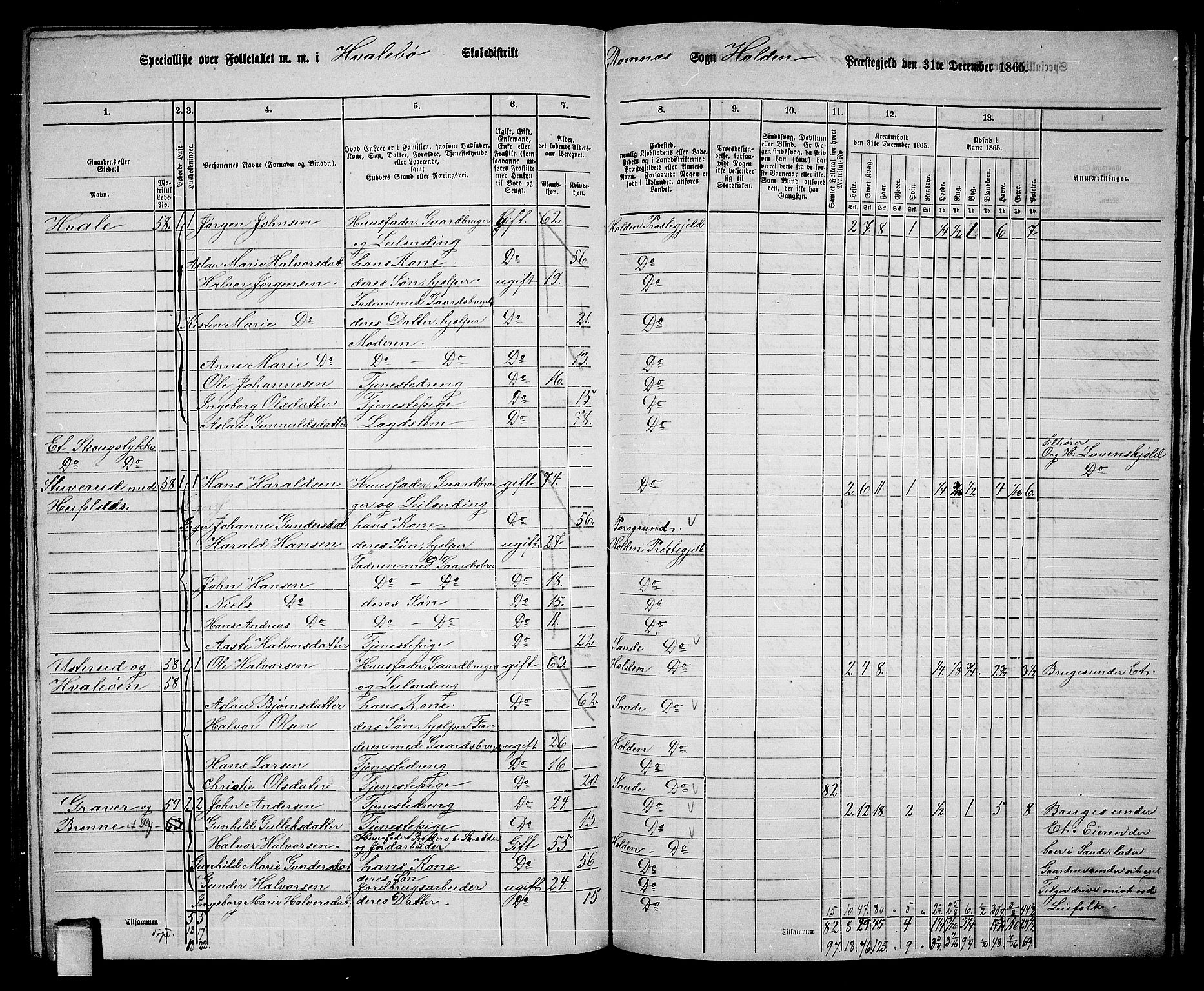 RA, 1865 census for Holla, 1865, p. 123