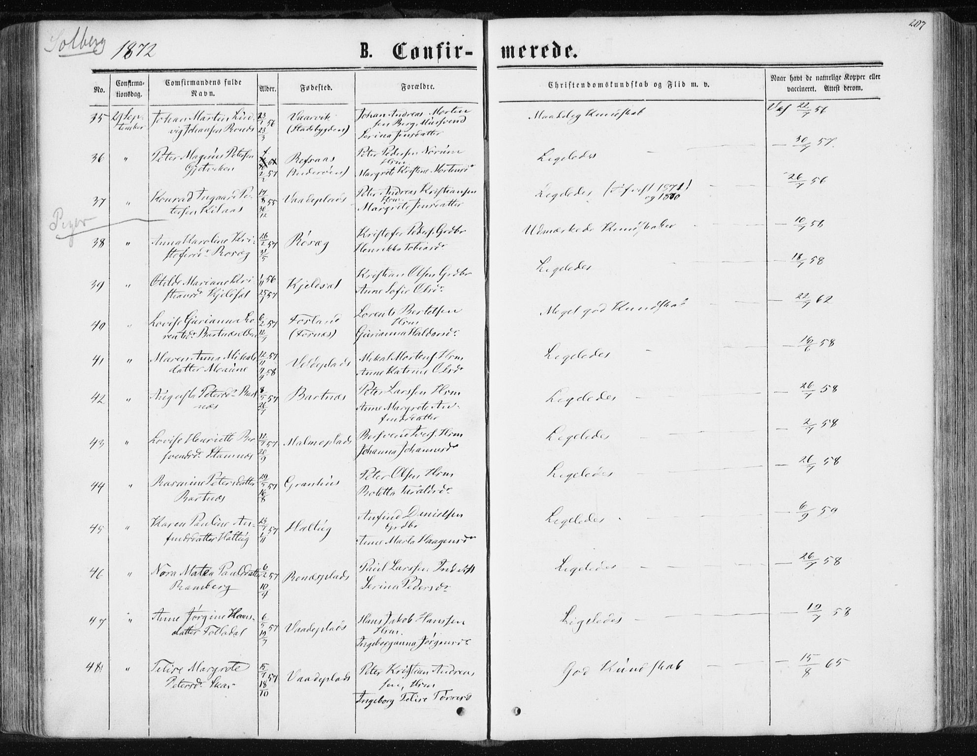Ministerialprotokoller, klokkerbøker og fødselsregistre - Nord-Trøndelag, AV/SAT-A-1458/741/L0394: Parish register (official) no. 741A08, 1864-1877, p. 207