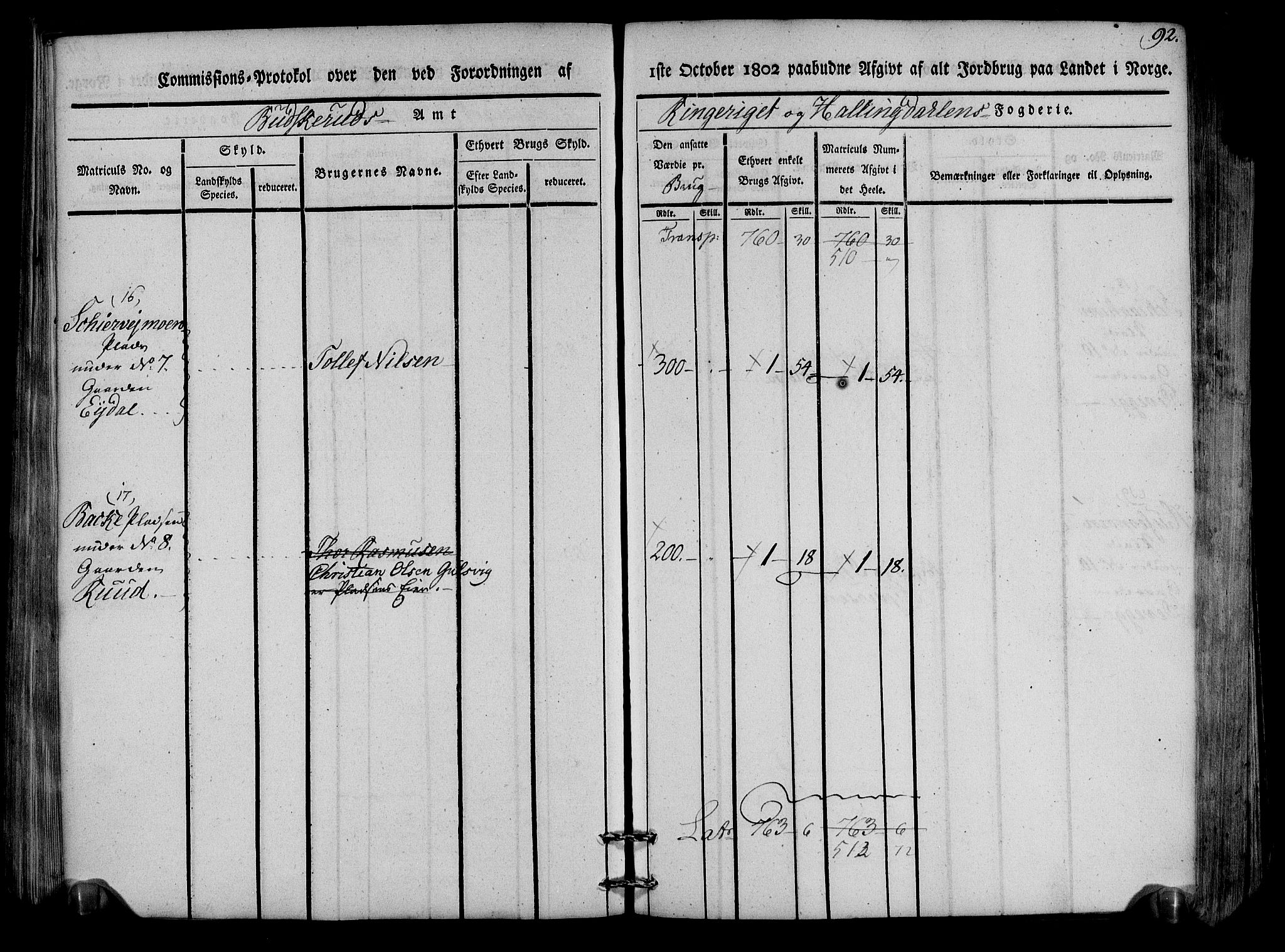 Rentekammeret inntil 1814, Realistisk ordnet avdeling, AV/RA-EA-4070/N/Ne/Nea/L0047: Ringerike og Hallingdal fogderi. Kommisjonsprotokoll for Nes prestegjeld, 1803, p. 95