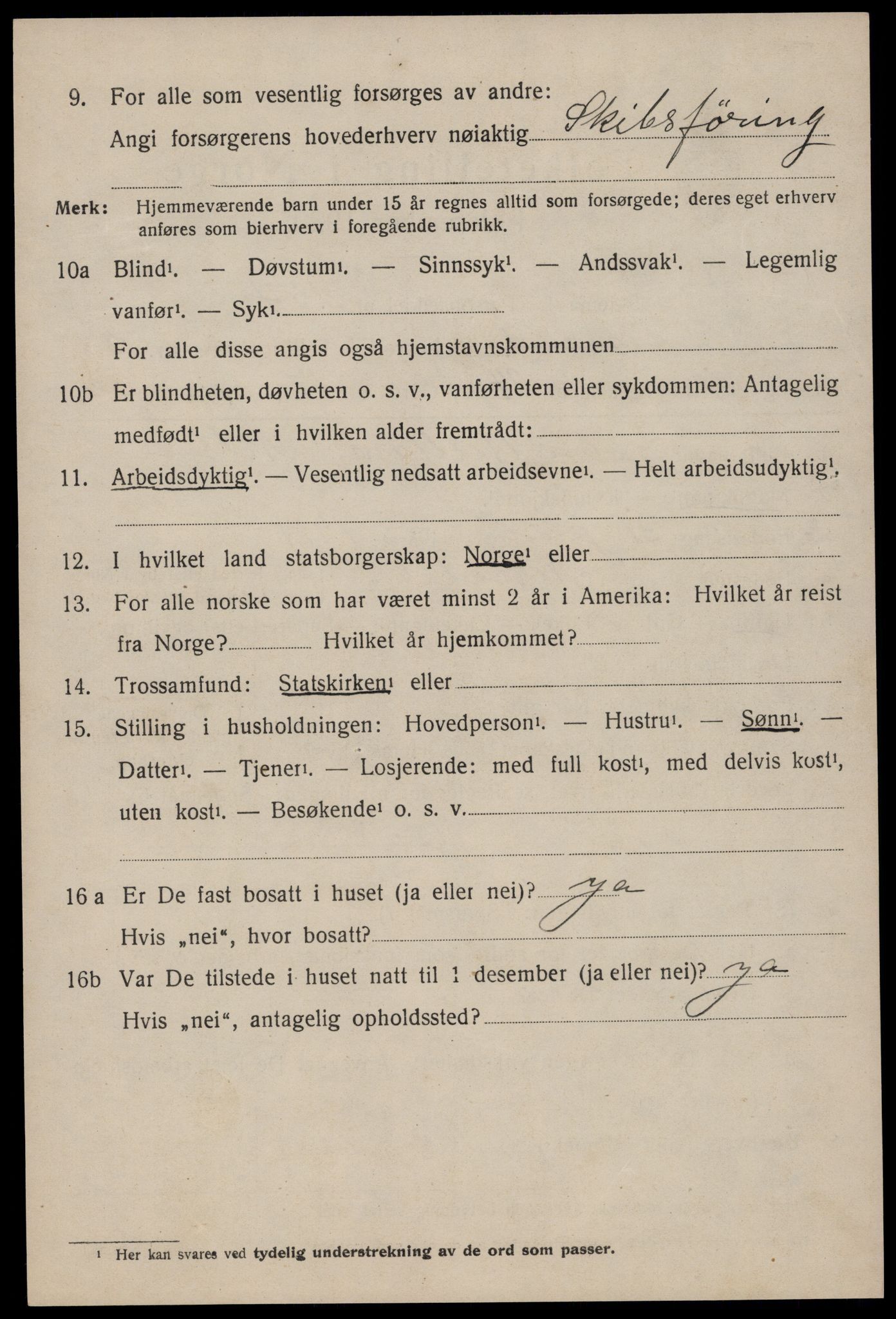 SAKO, 1920 census for Nissedal, 1920, p. 1804