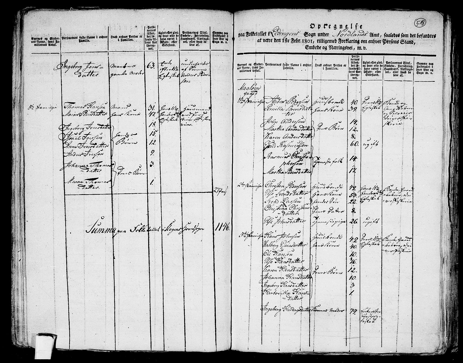 RA, 1801 census for 1848P Steigen, 1801, p. 517b-518a