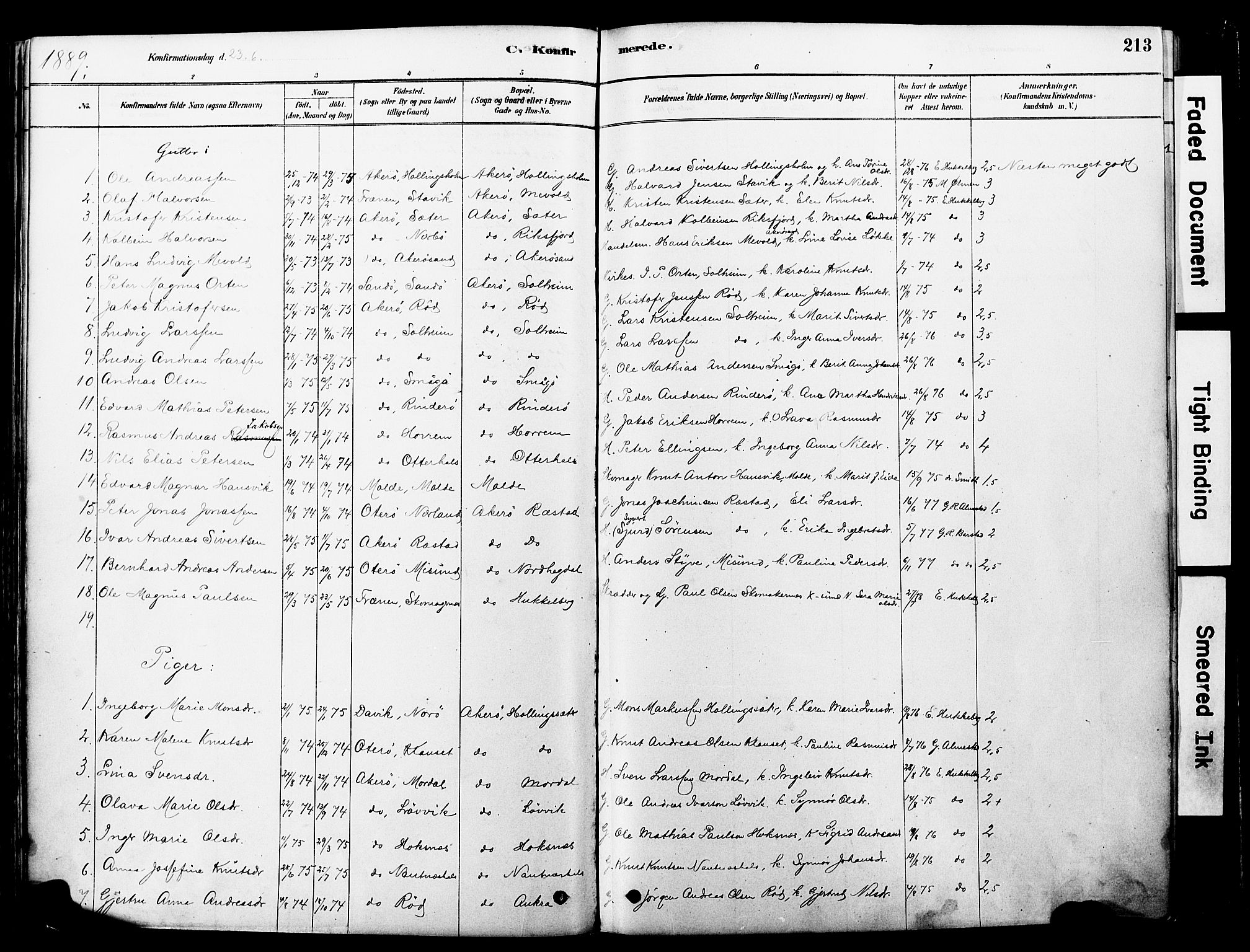 Ministerialprotokoller, klokkerbøker og fødselsregistre - Møre og Romsdal, SAT/A-1454/560/L0721: Parish register (official) no. 560A05, 1878-1917, p. 213