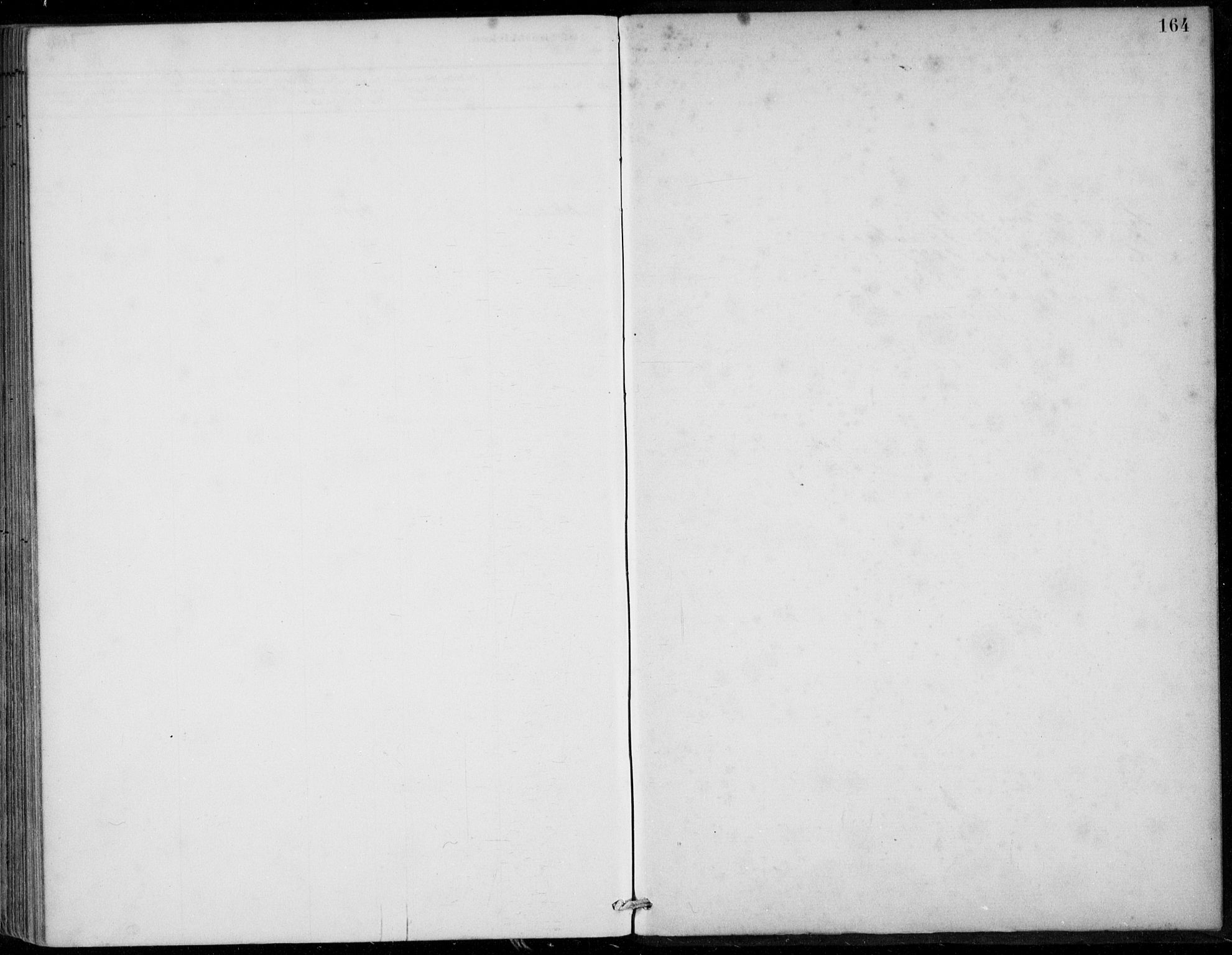 Sund sokneprestembete, AV/SAB-A-99930: Parish register (official) no. C  1, 1882-1899, p. 164