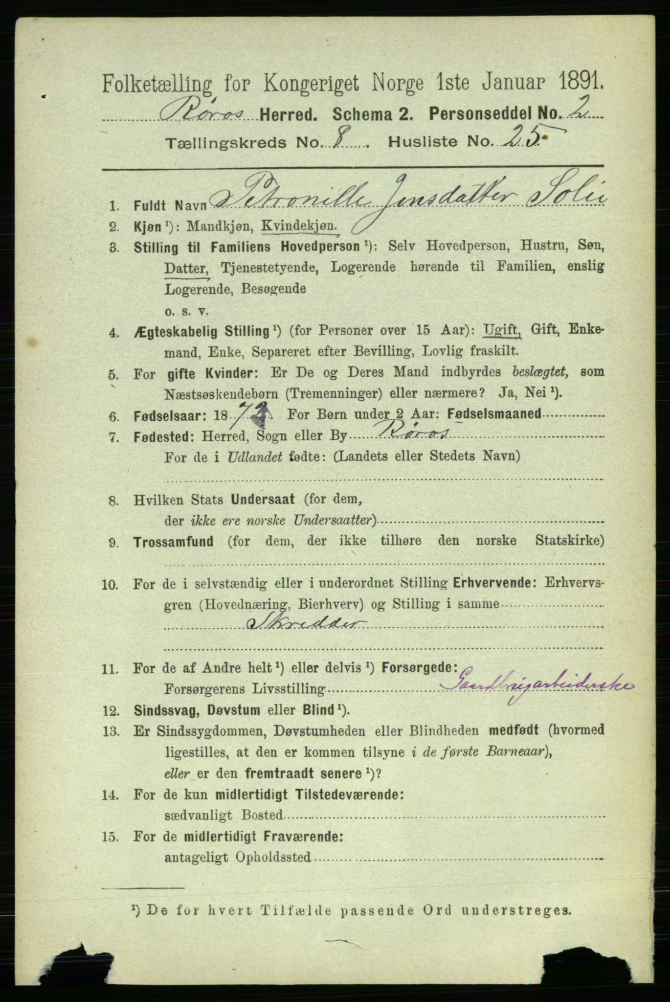 RA, 1891 census for 1640 Røros, 1891, p. 1785