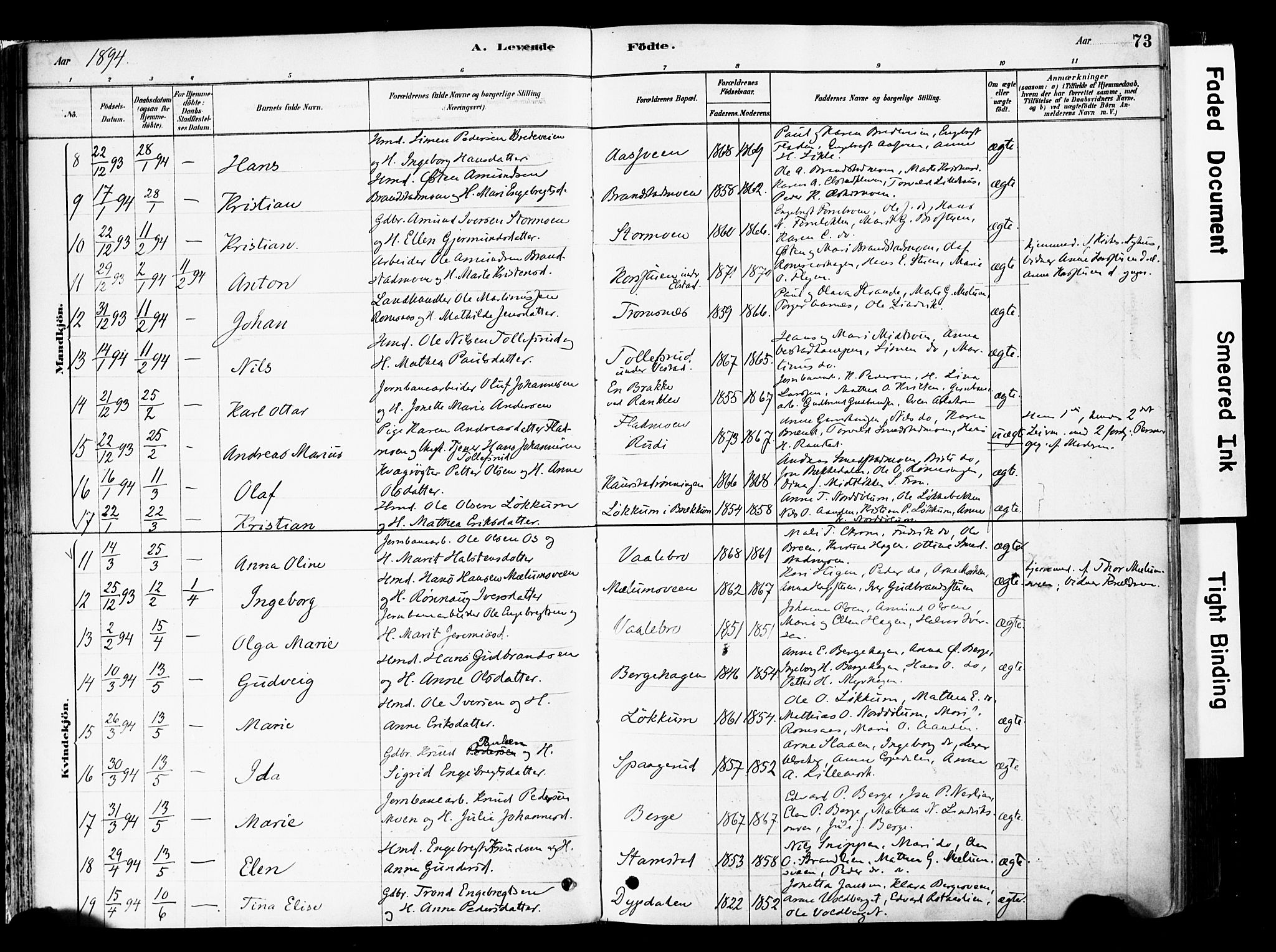 Ringebu prestekontor, AV/SAH-PREST-082/H/Ha/Haa/L0008: Parish register (official) no. 8, 1878-1898, p. 73