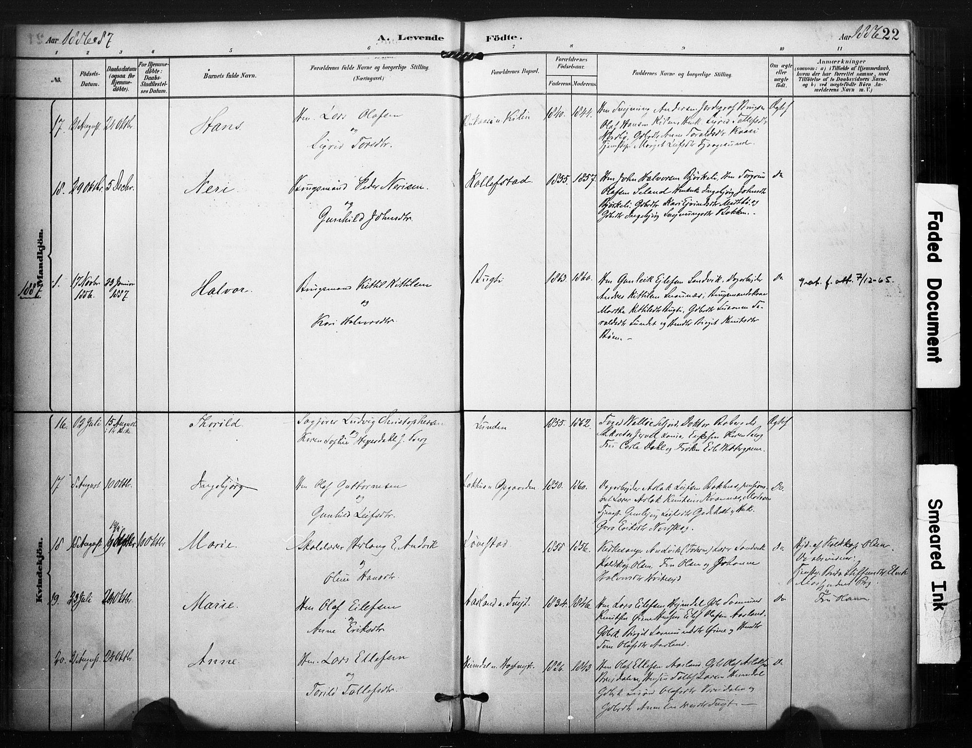 Kviteseid kirkebøker, SAKO/A-276/F/Fa/L0008: Parish register (official) no. I 8, 1882-1903, p. 22