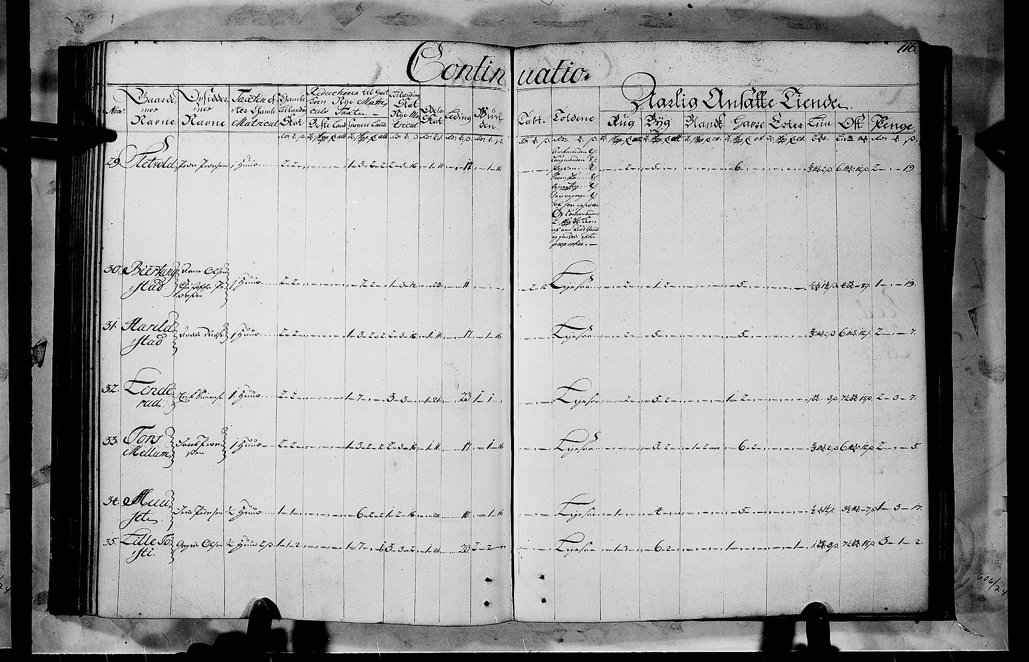 Rentekammeret inntil 1814, Realistisk ordnet avdeling, AV/RA-EA-4070/N/Nb/Nbf/L0103b: Hedmark matrikkelprotokoll, 1723, p. 116b-117a