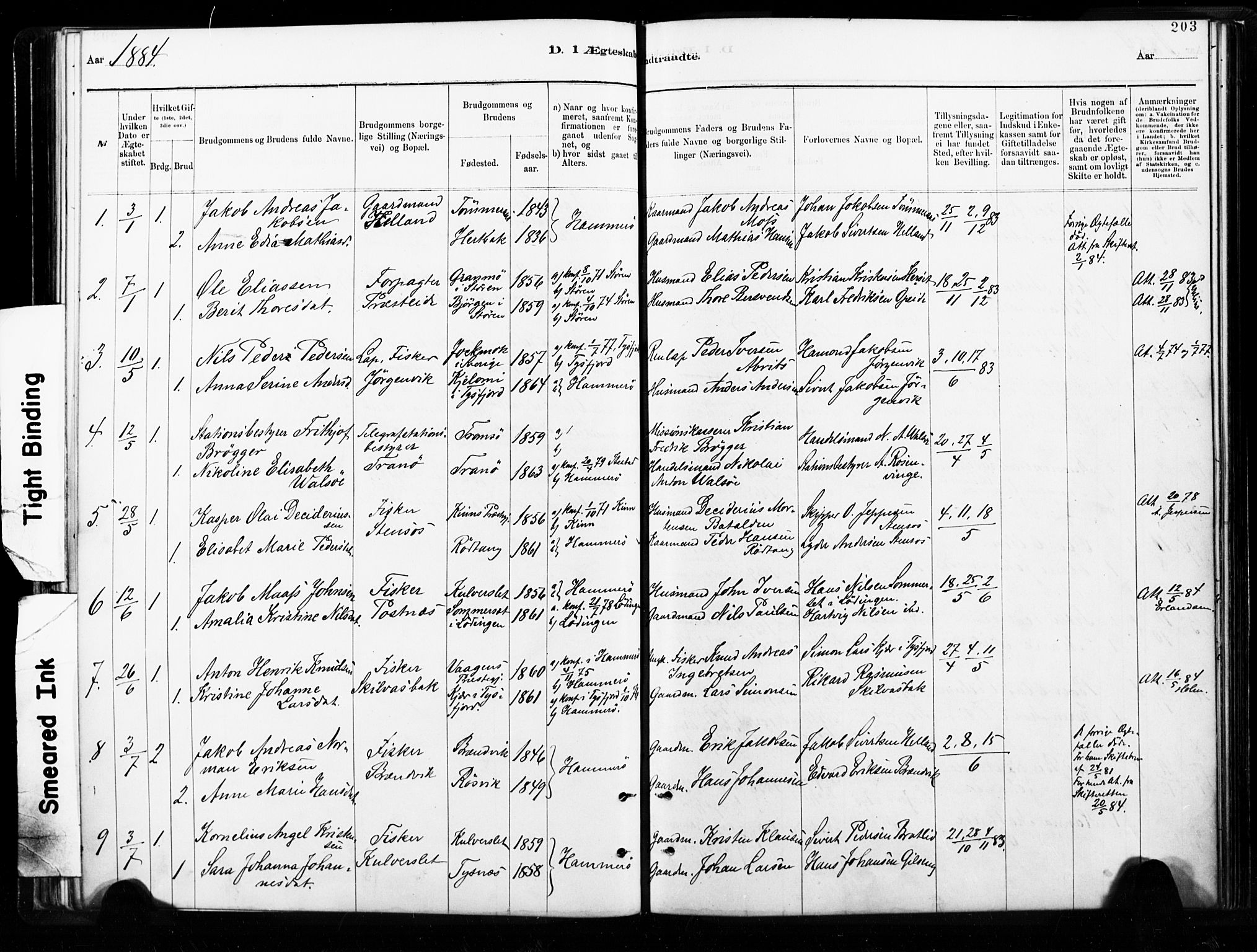 Ministerialprotokoller, klokkerbøker og fødselsregistre - Nordland, SAT/A-1459/859/L0846: Parish register (official) no. 859A06, 1878-1889, p. 203