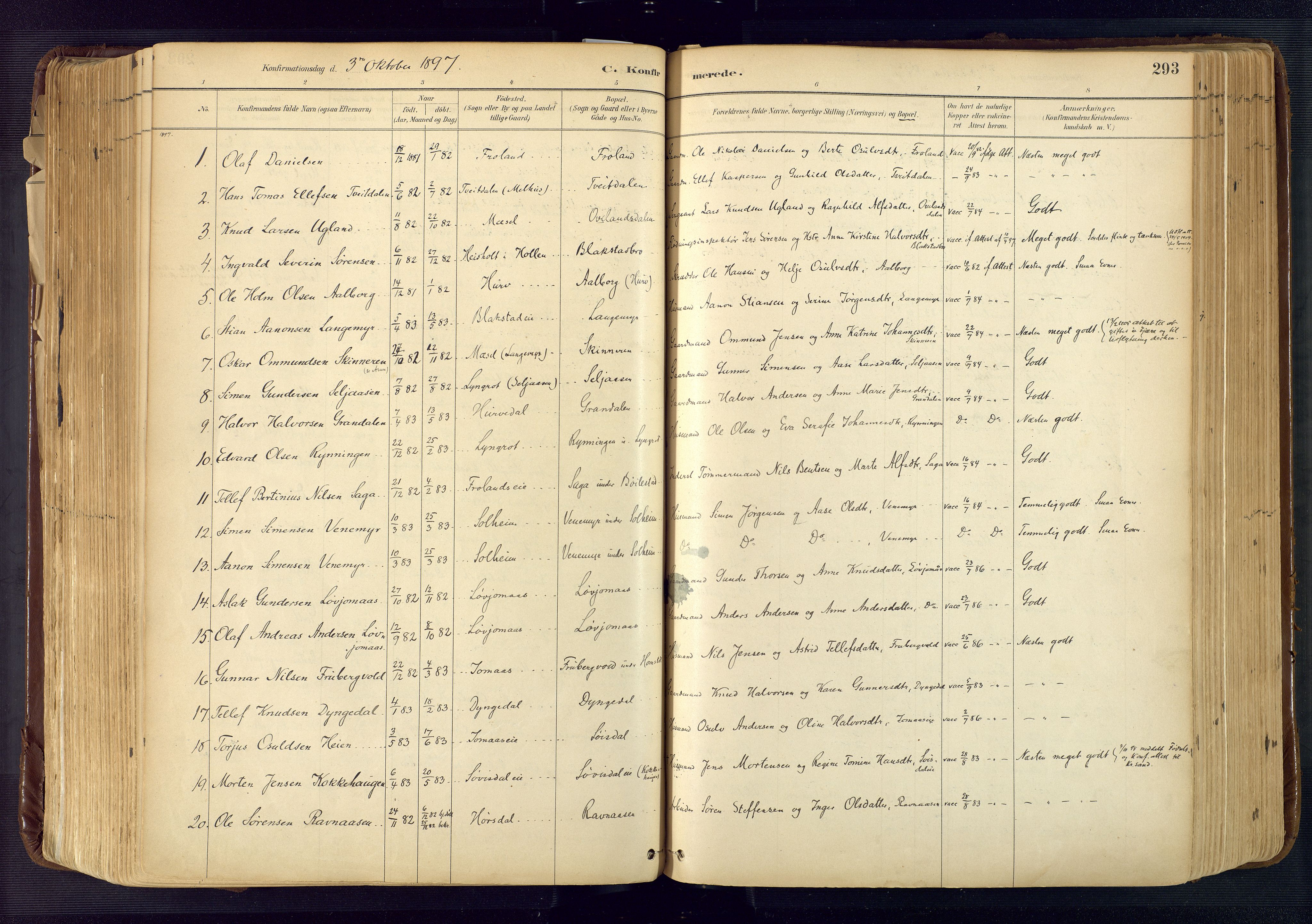 Froland sokneprestkontor, SAK/1111-0013/F/Fa/L0005: Parish register (official) no. A 5, 1882-1921, p. 293