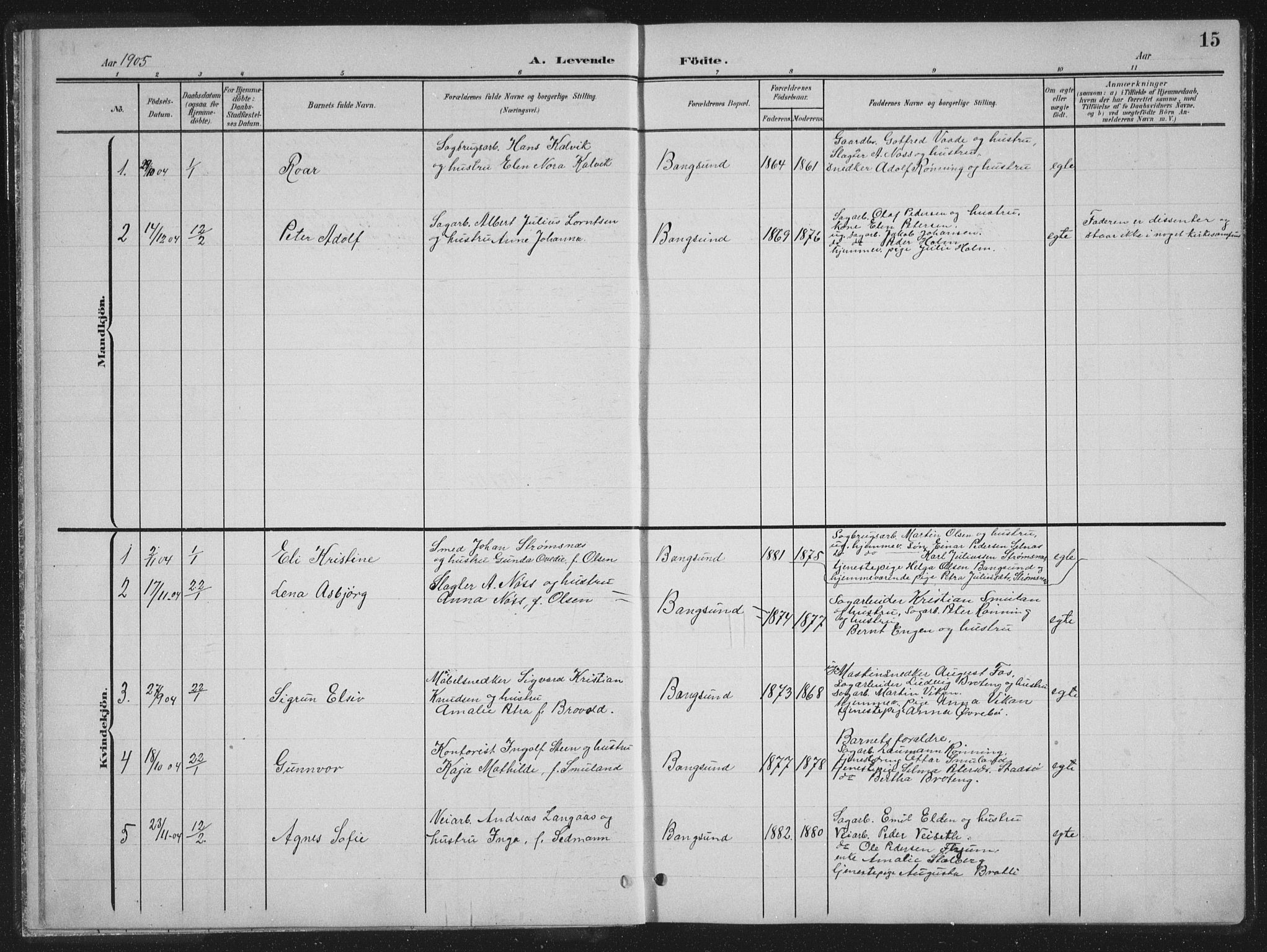 Ministerialprotokoller, klokkerbøker og fødselsregistre - Nord-Trøndelag, SAT/A-1458/770/L0591: Parish register (copy) no. 770C02, 1902-1940, p. 15