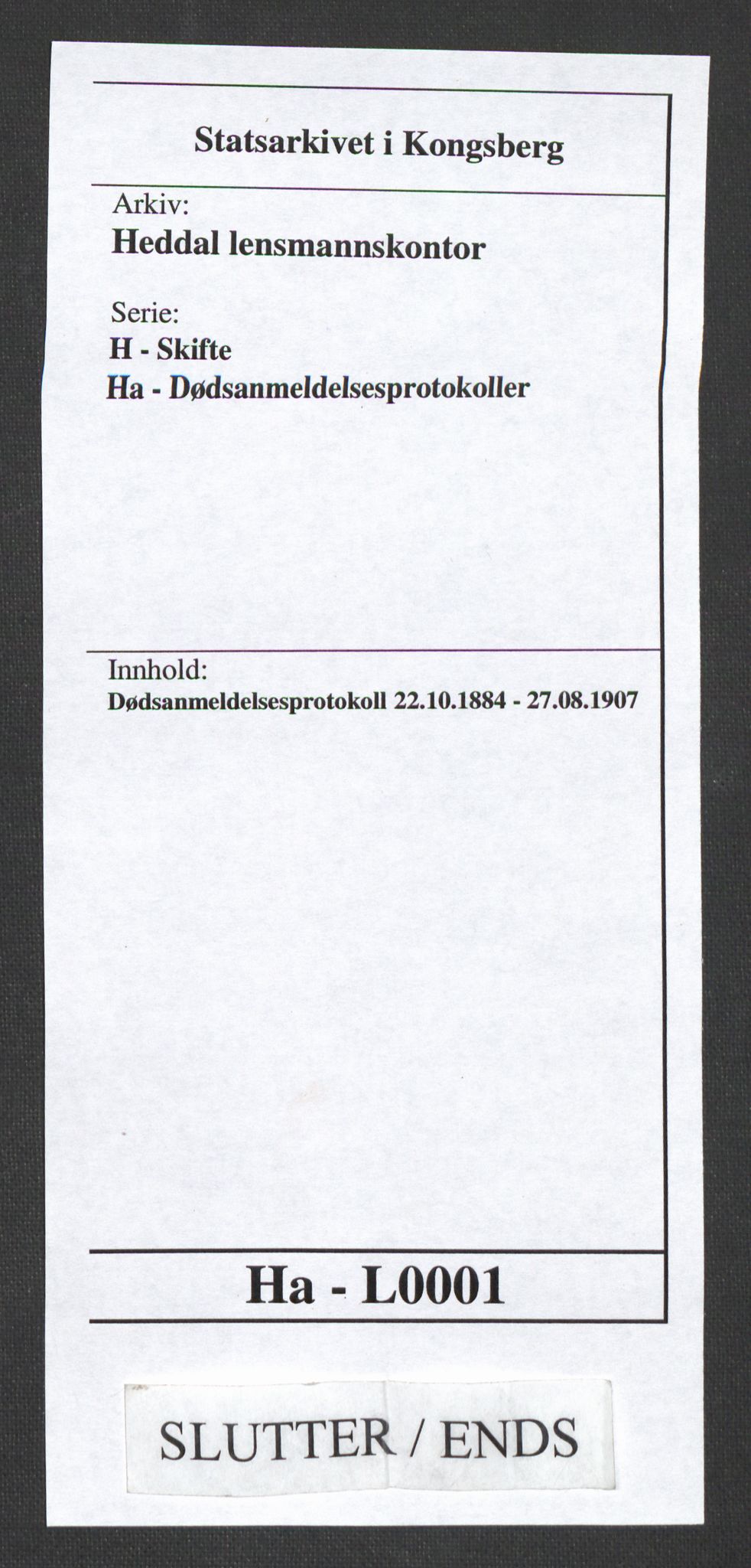 Heddal lensmannskontor, AV/SAKO-A-558/H/Ha/L0001: Dødsanmeldelsesprotokoll, 1884-1907